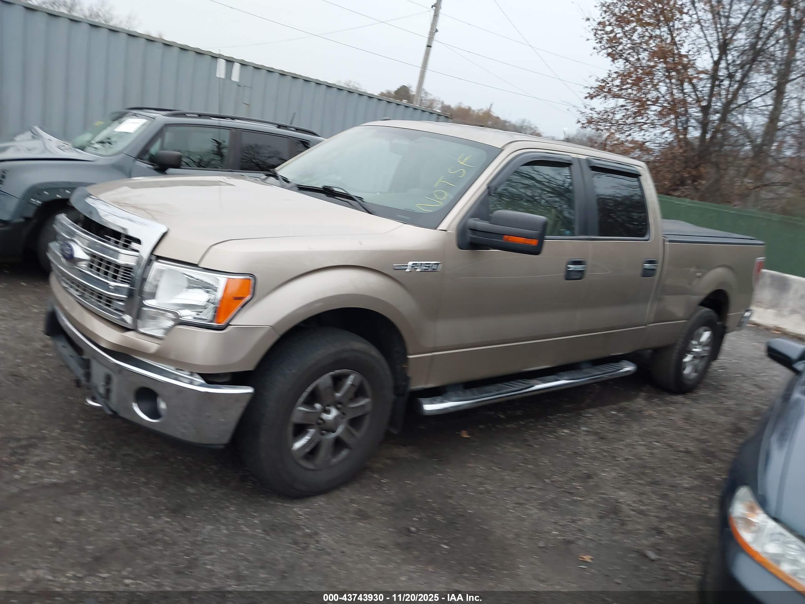 FORD F-150 image 2