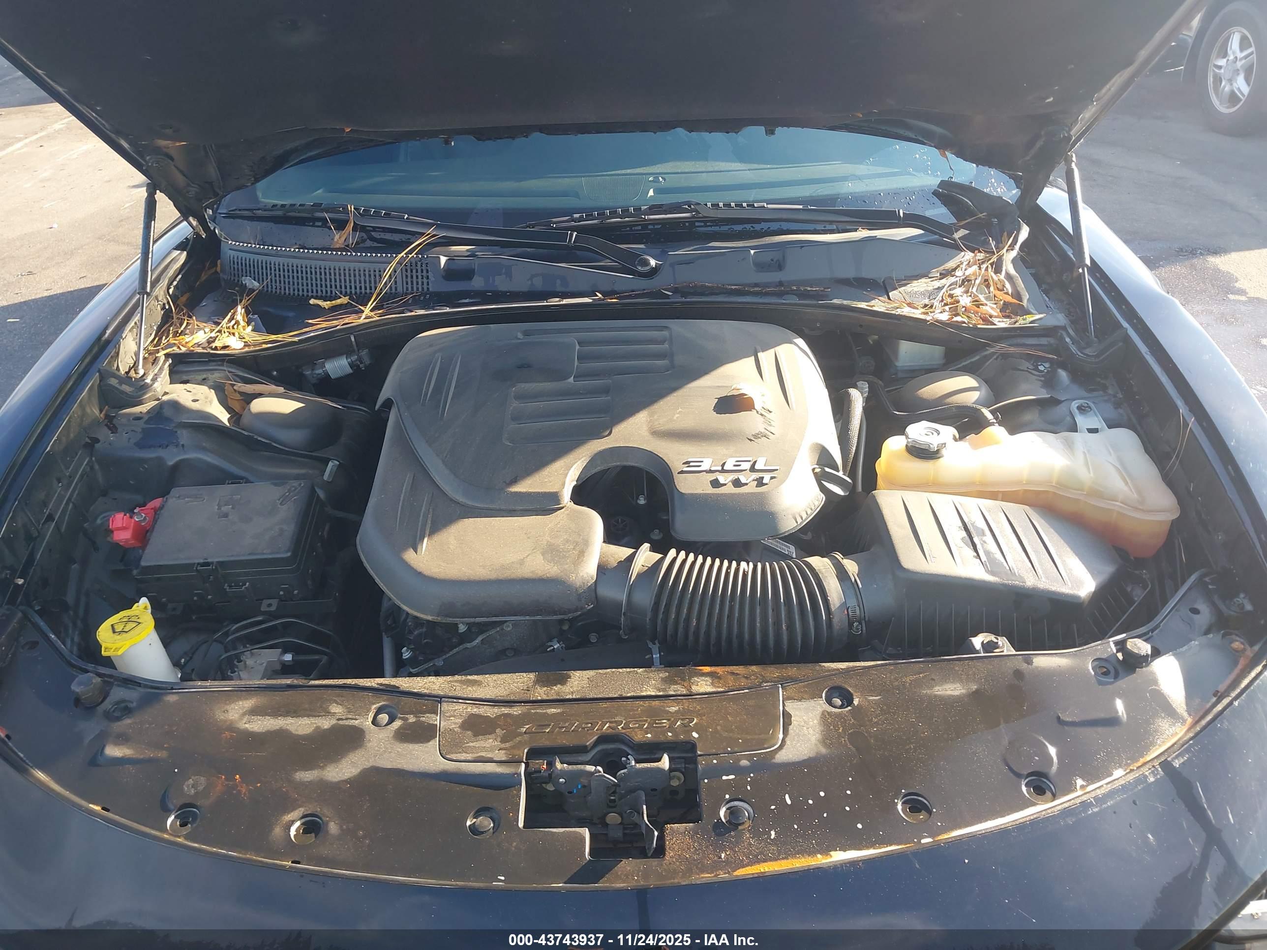 DODGE CHARGER image 10