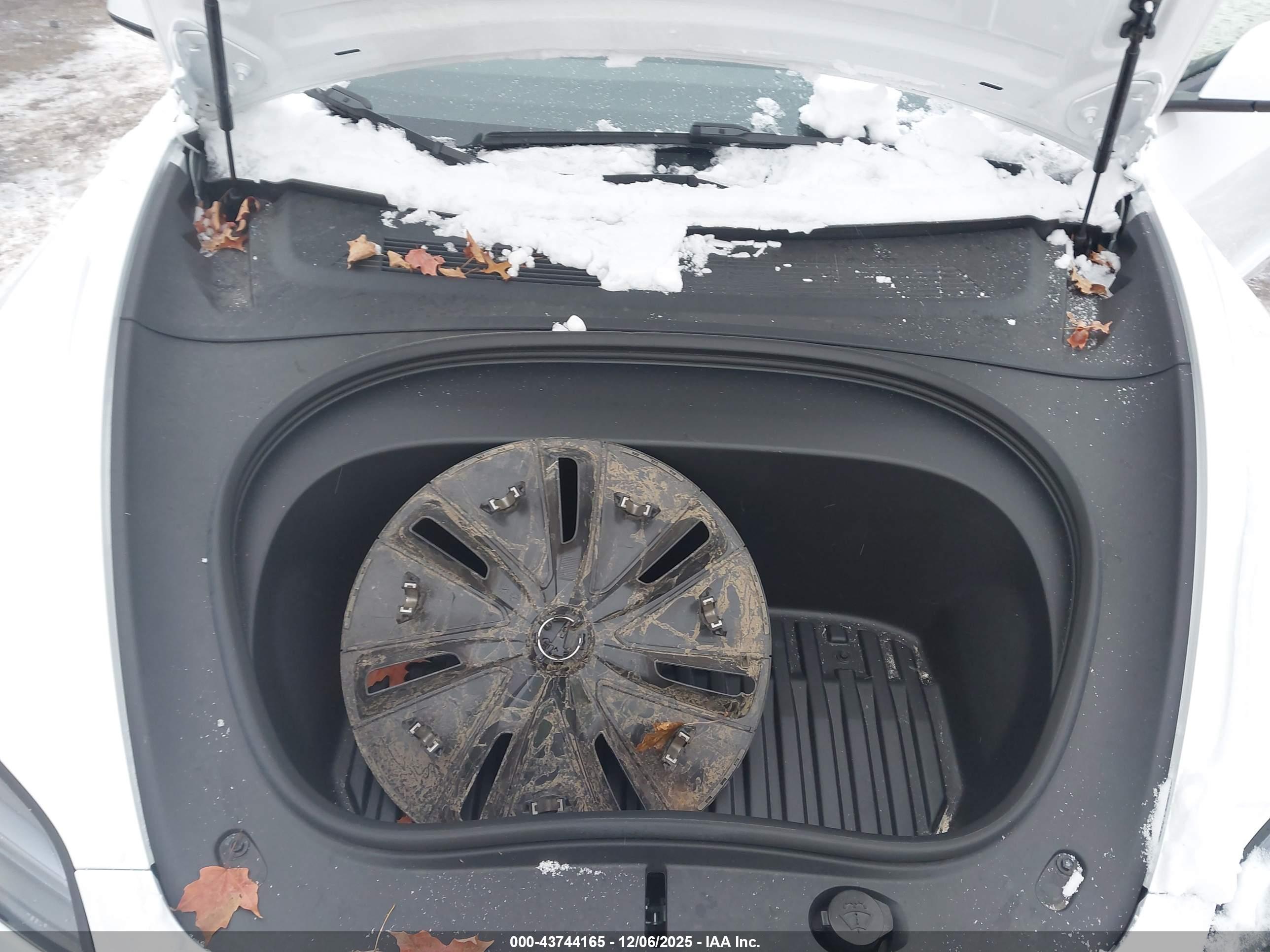 TESLA MODEL image 10