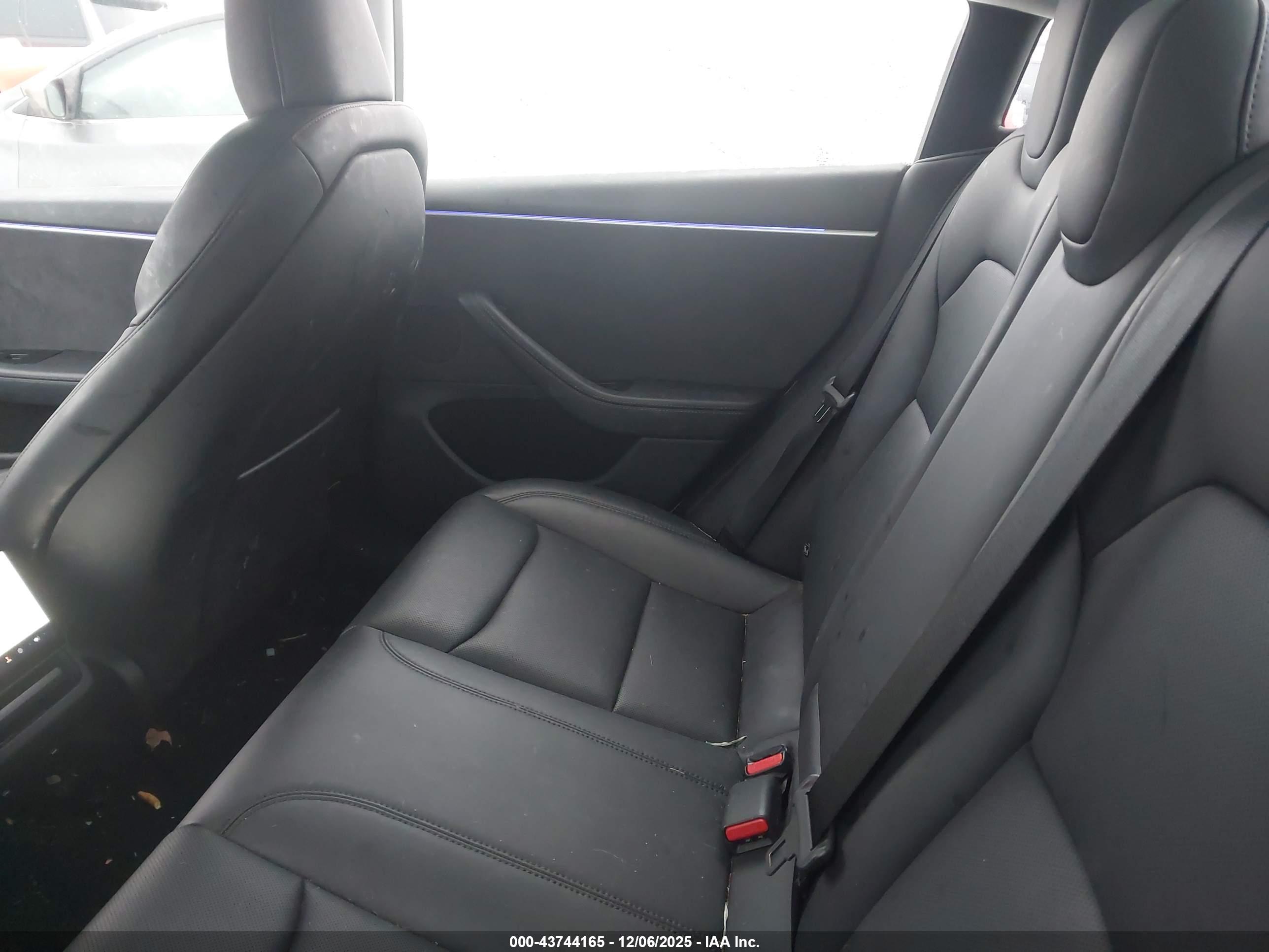 TESLA MODEL image 8