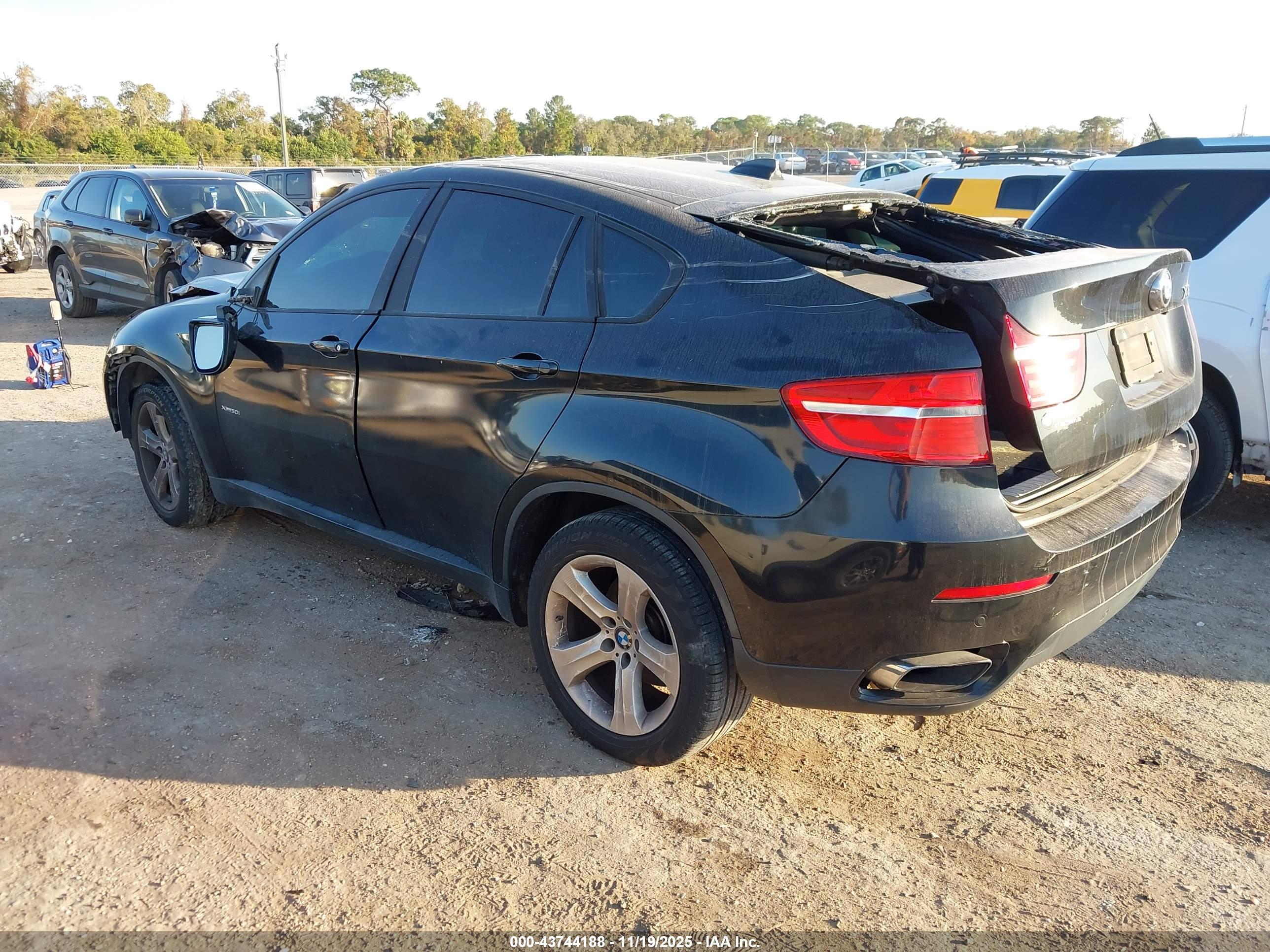 BMW X6 image 3