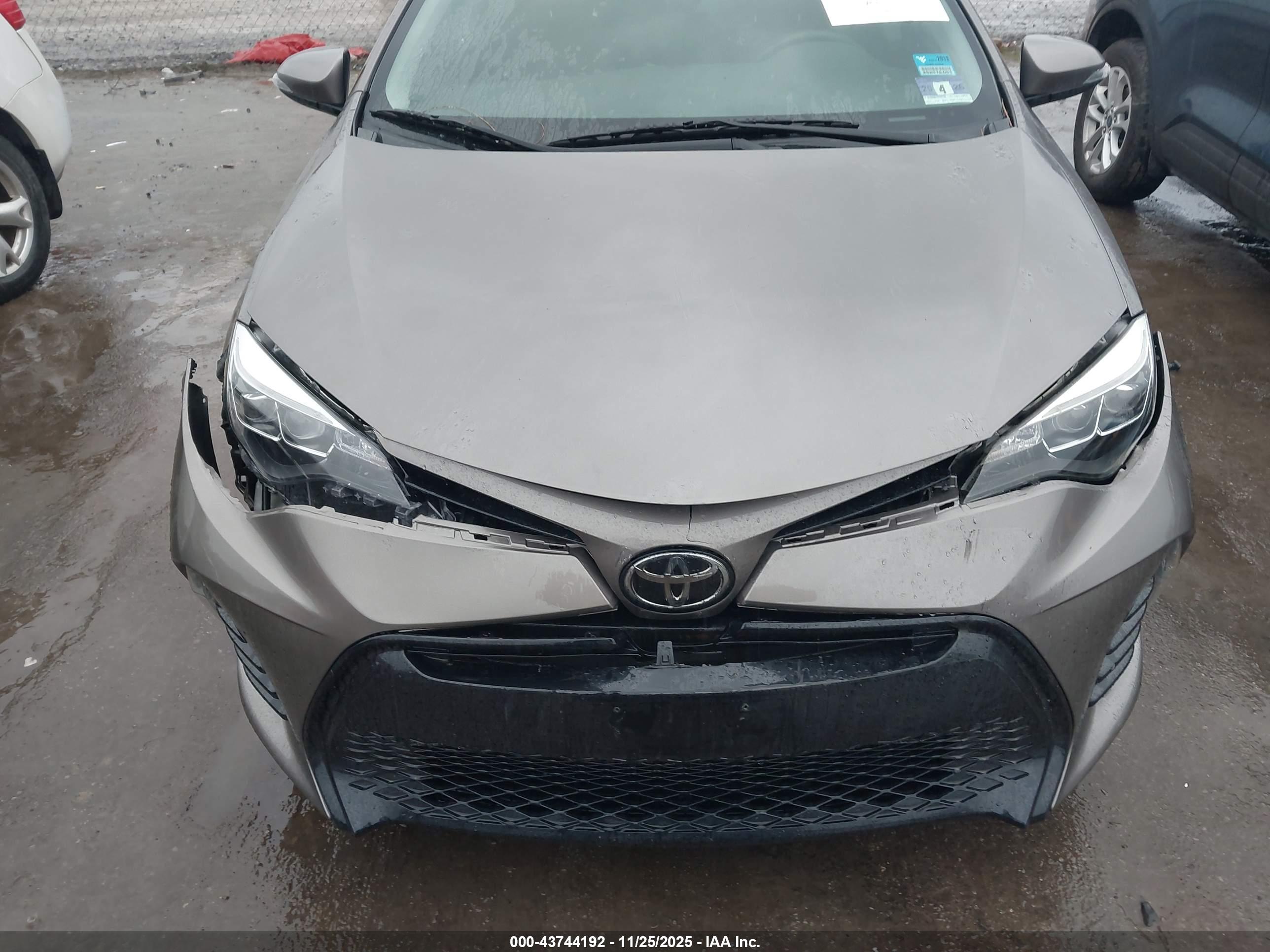 TOYOTA COROLLA image 6