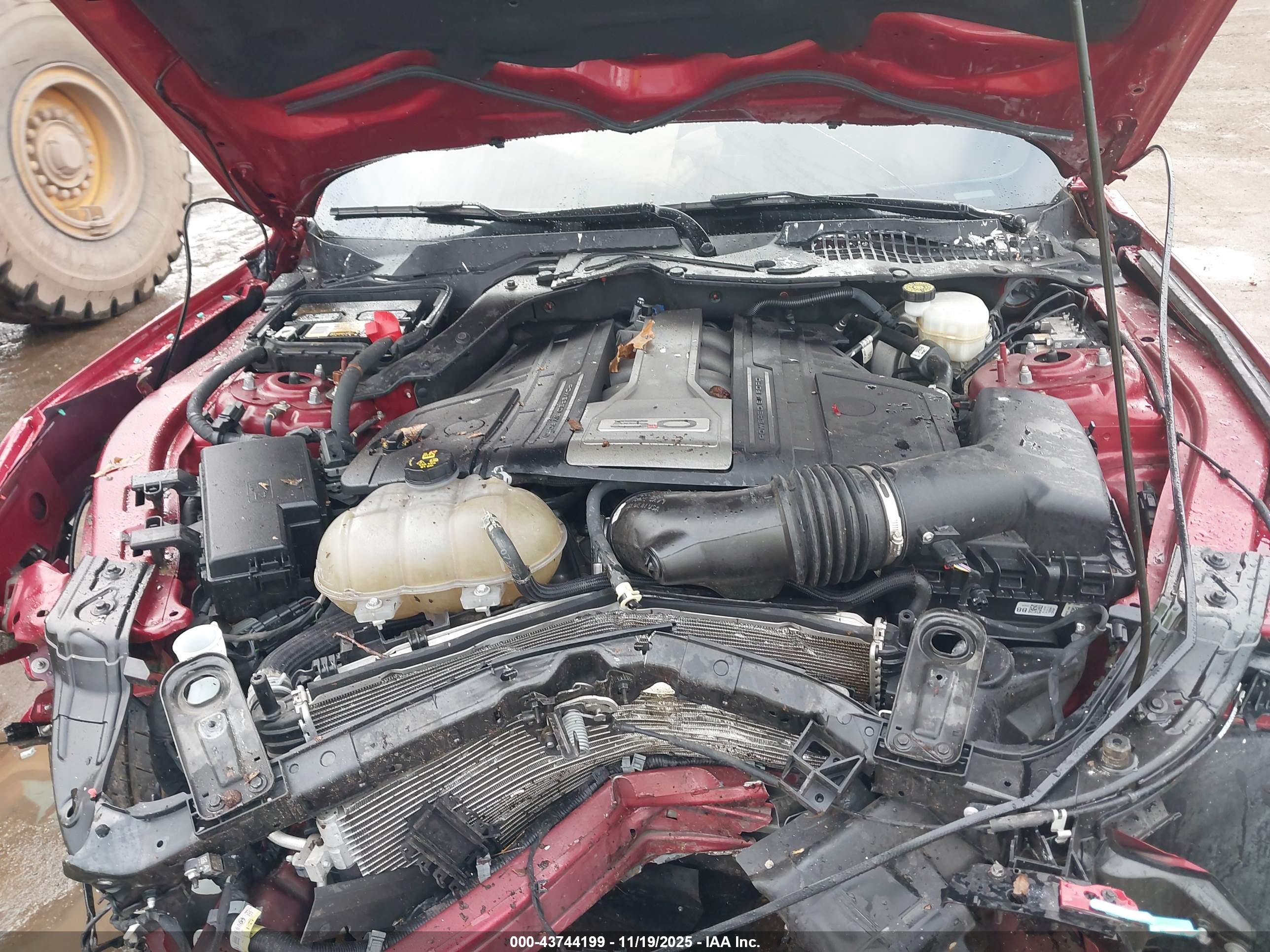 FORD MUSTANG image 10
