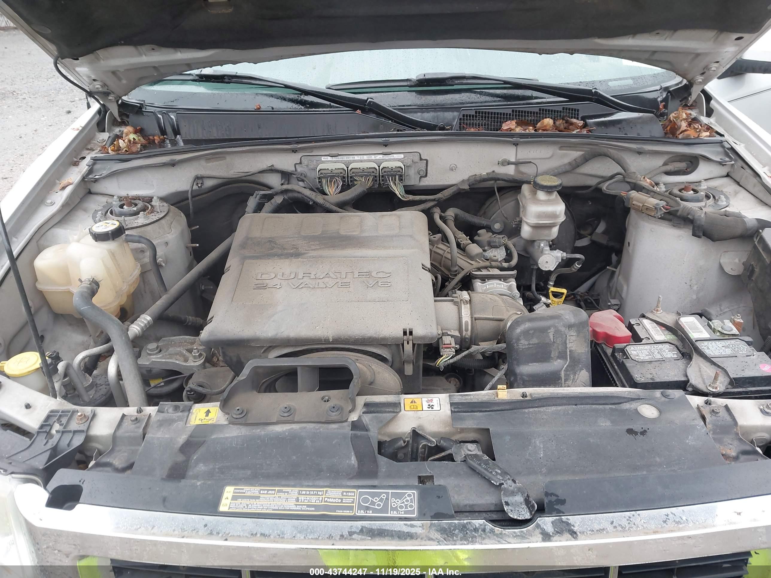 FORD ESCAPE image 10
