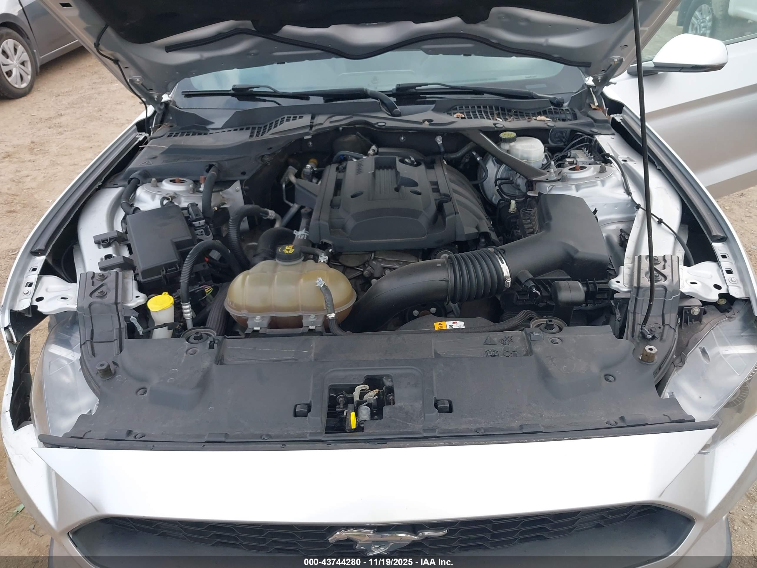 FORD MUSTANG image 10