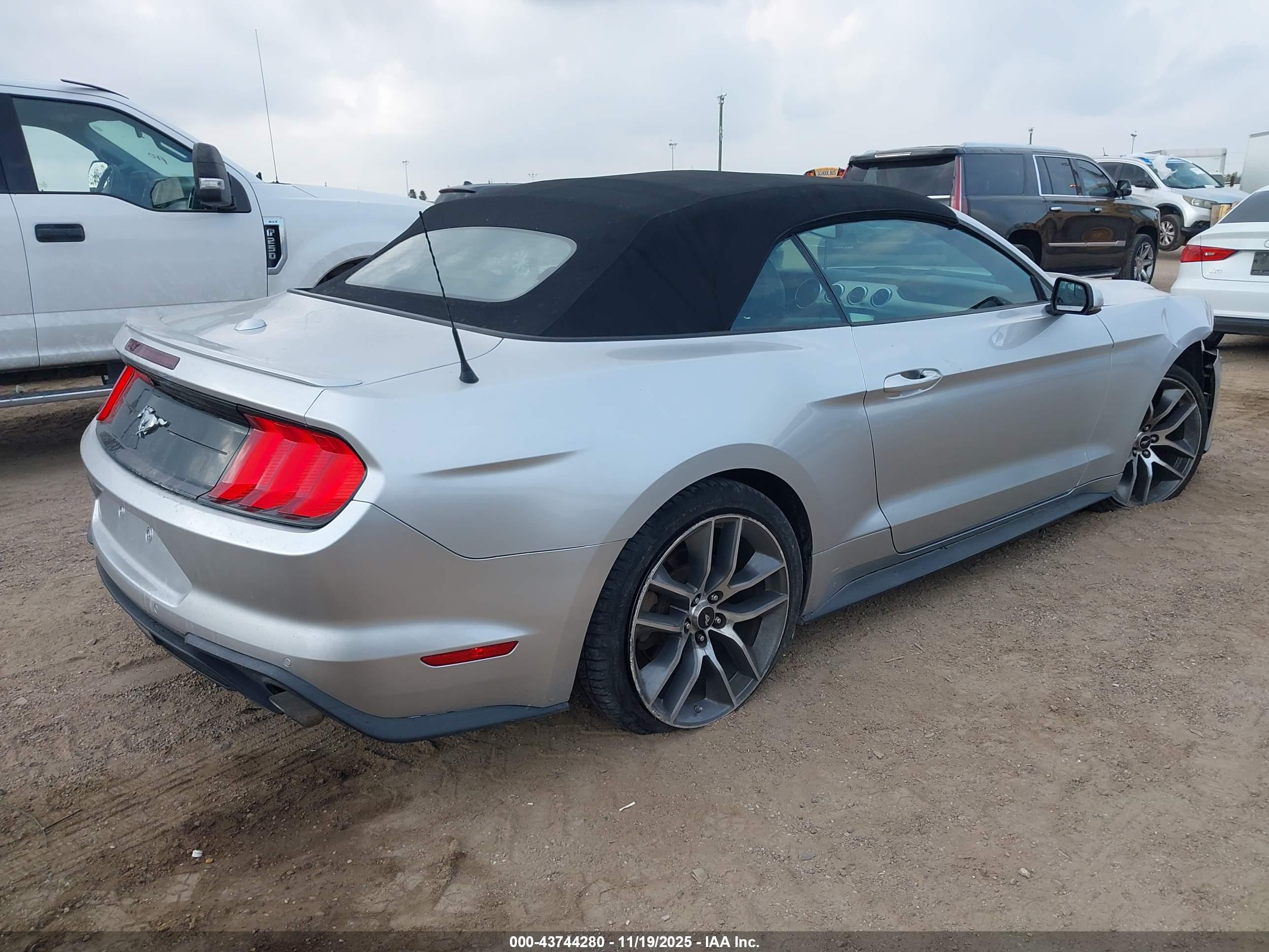 FORD MUSTANG image 4
