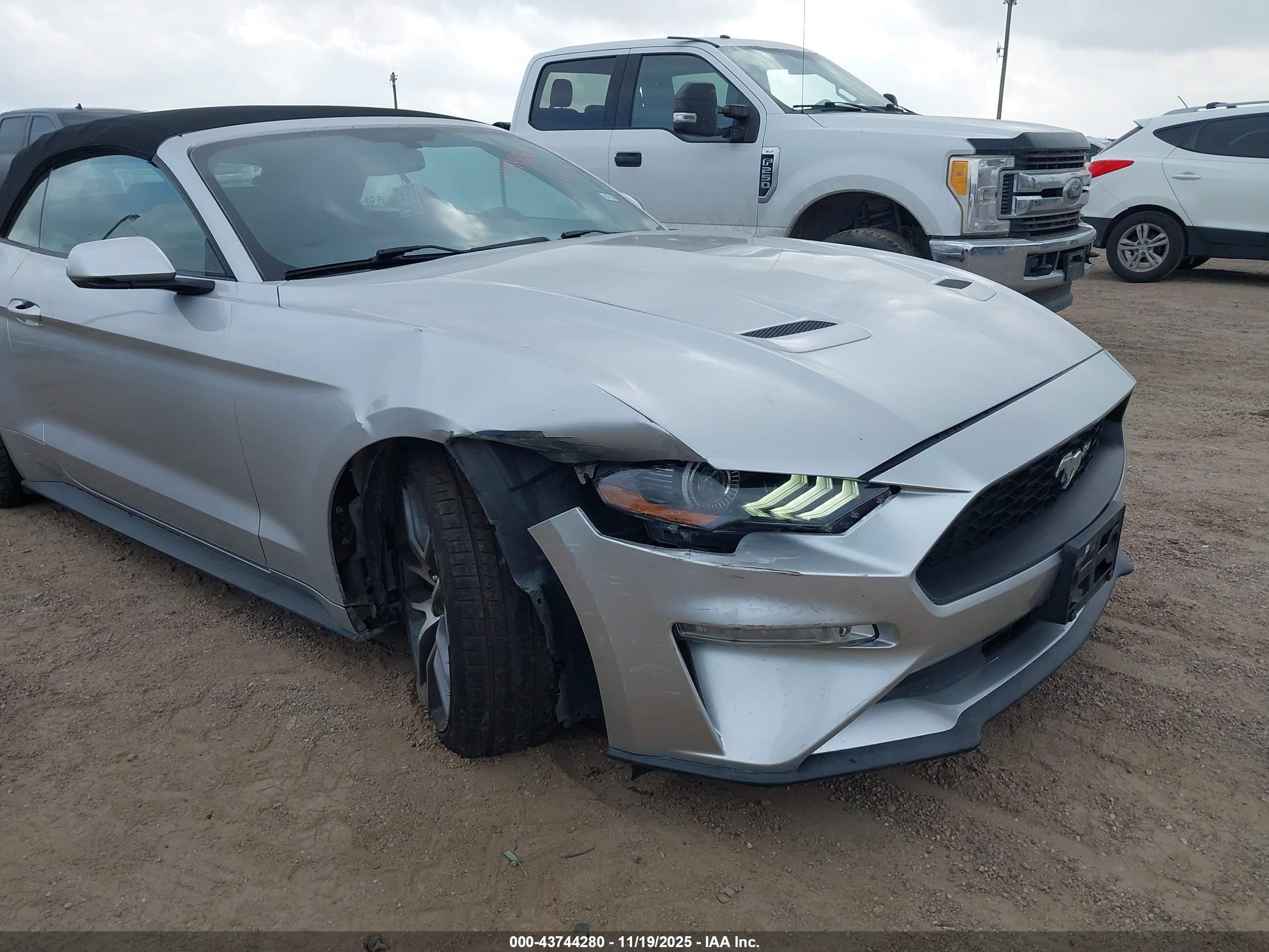 FORD MUSTANG image 6