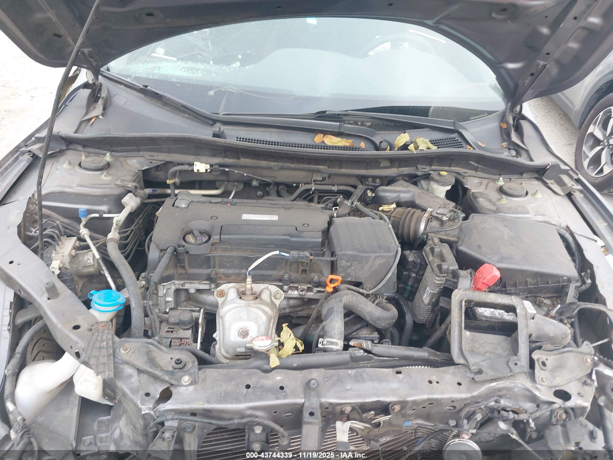 HONDA ACCORD image 10