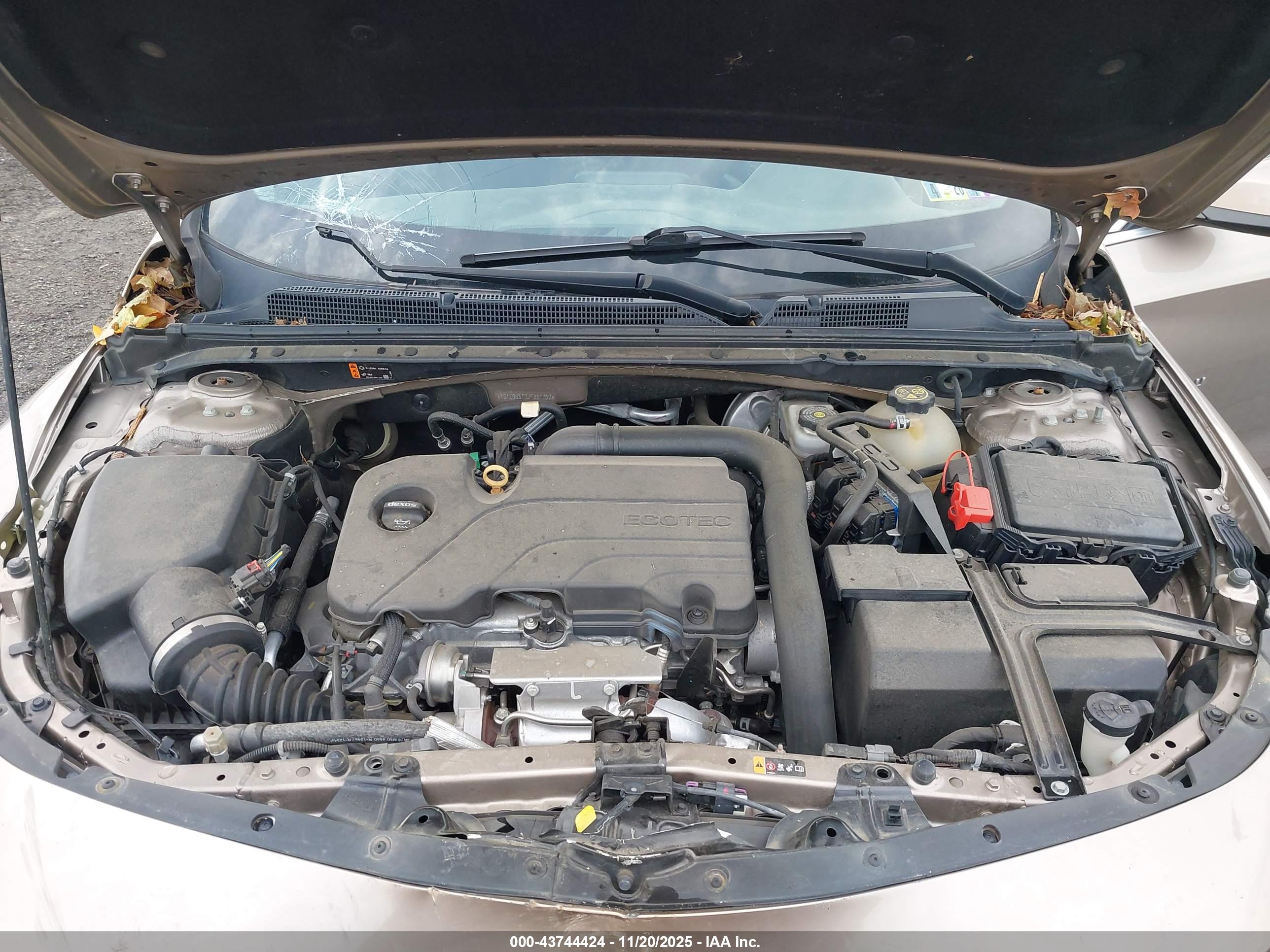 CHEVROLET MALIBU image 10