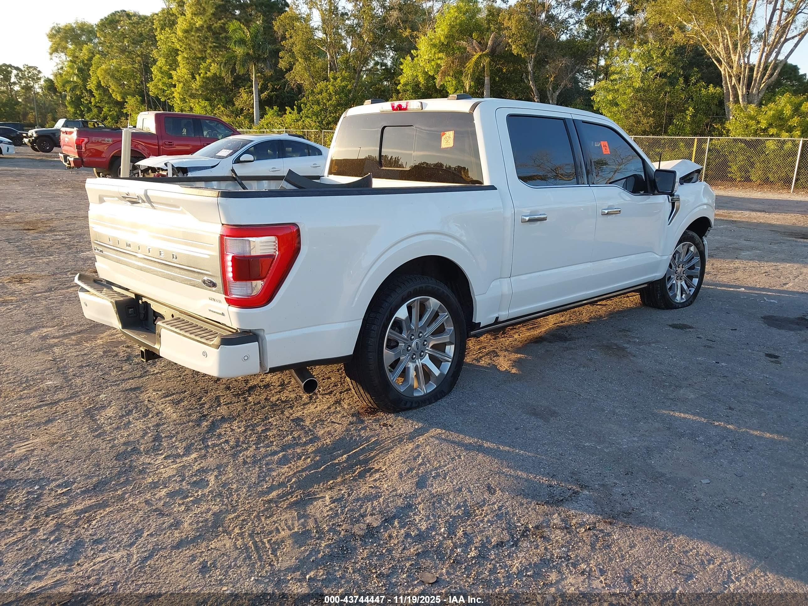 FORD F-150 image 4