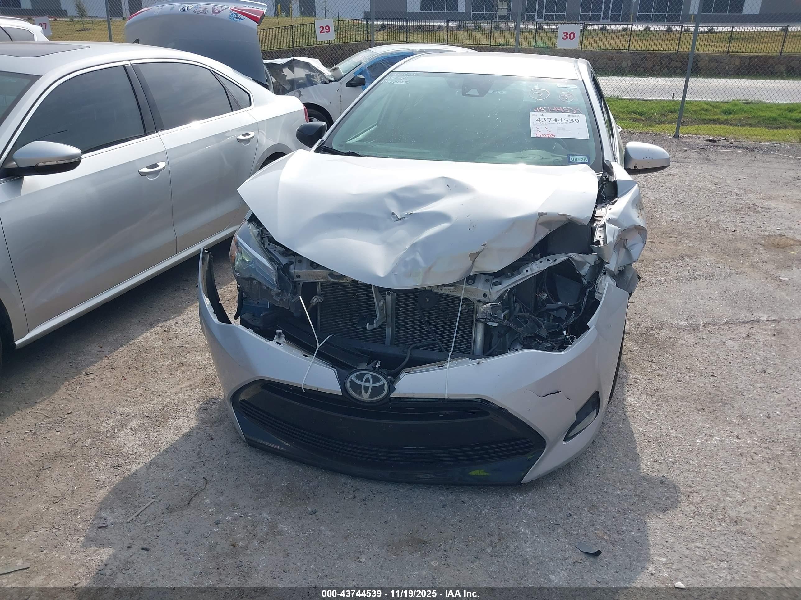 TOYOTA COROLLA image 2