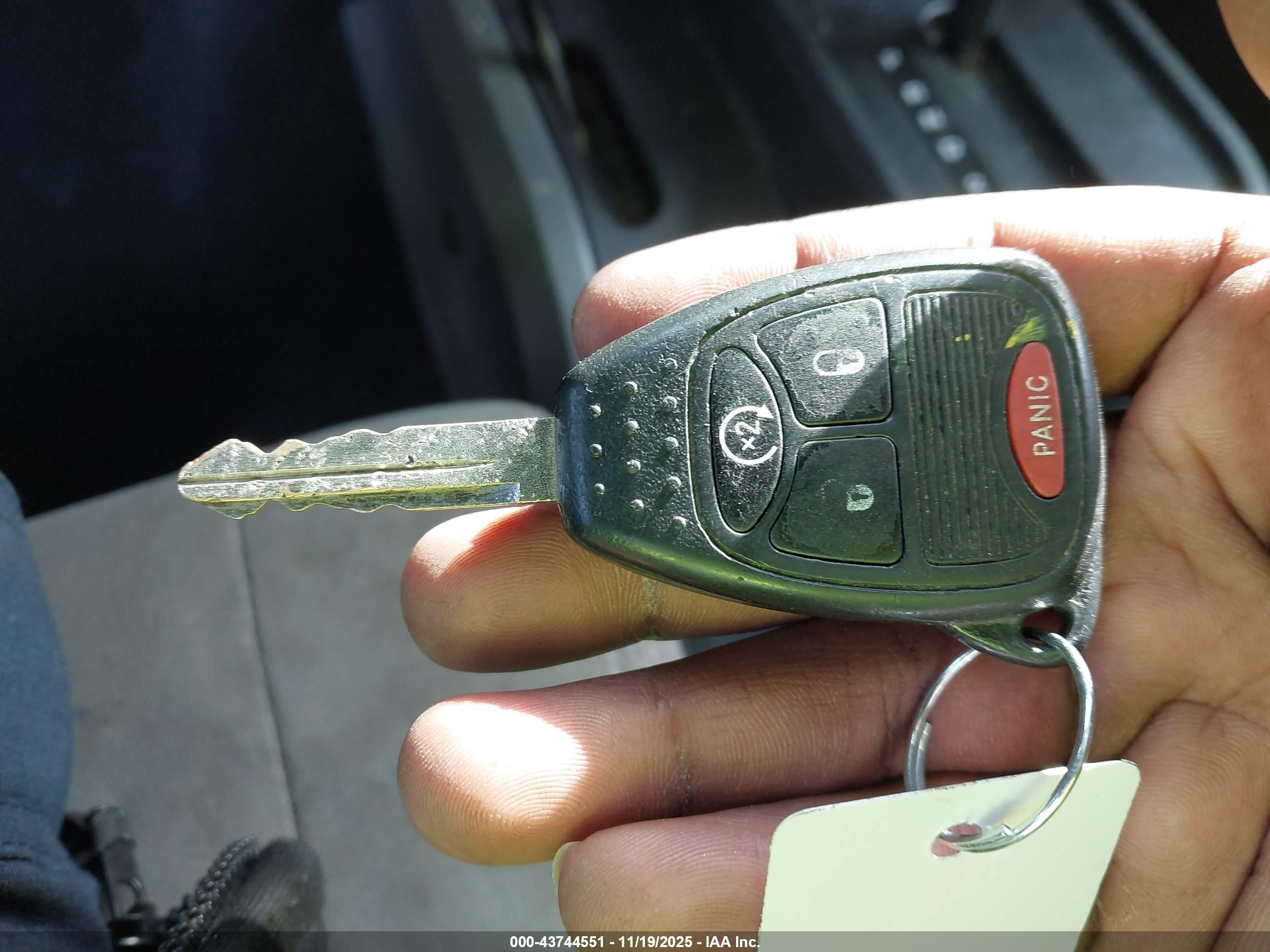 JEEP WRANGLER image 11
