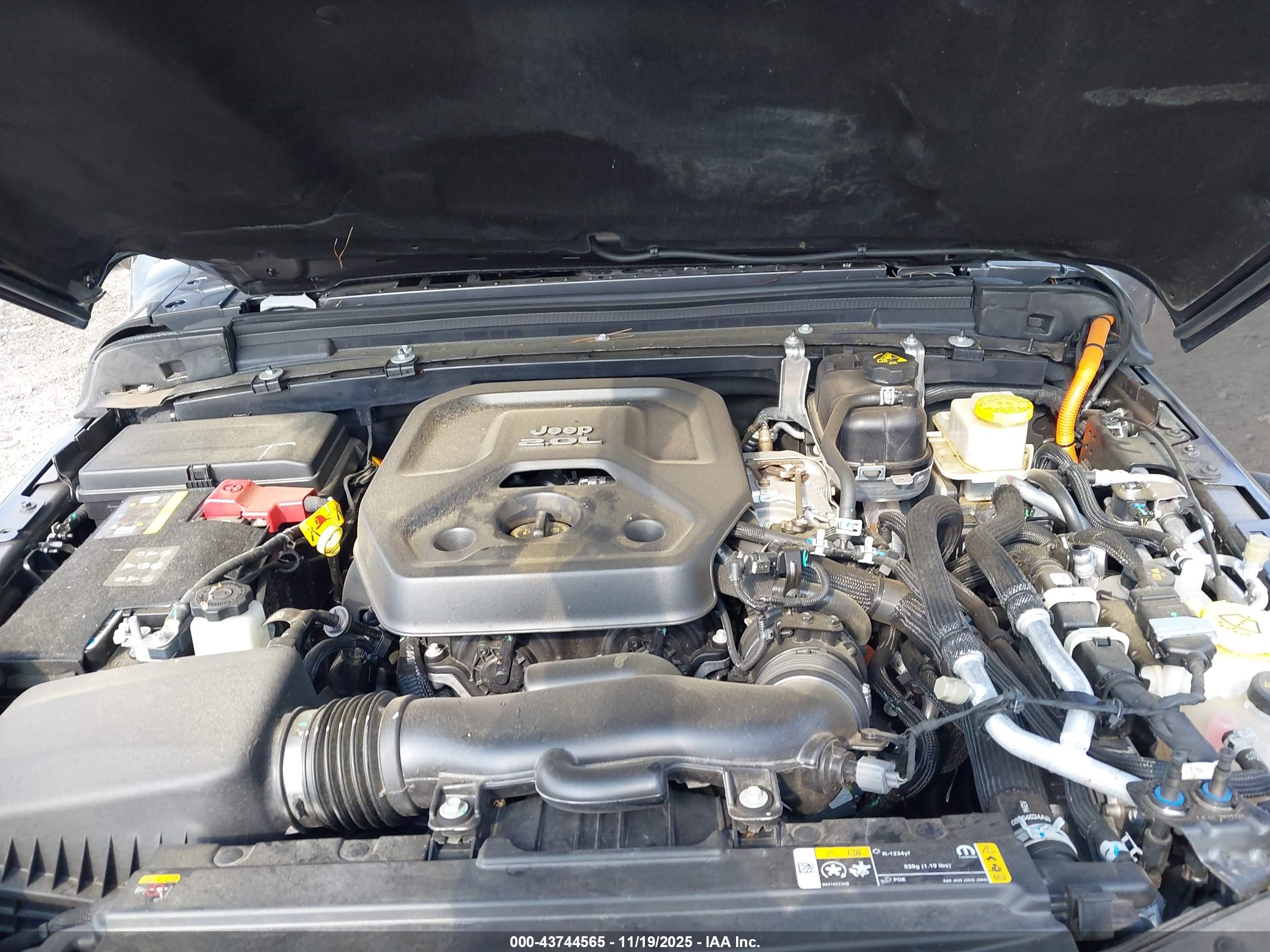 JEEP WRANGLER image 10