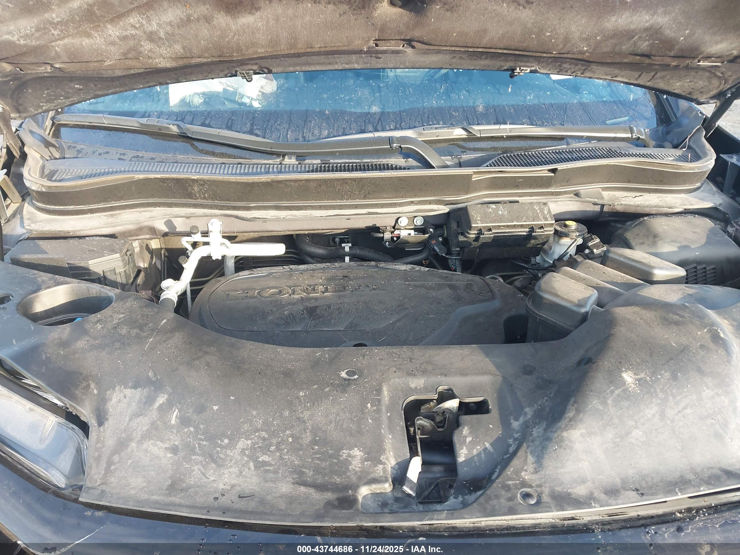 HONDA PASSPORT image 10