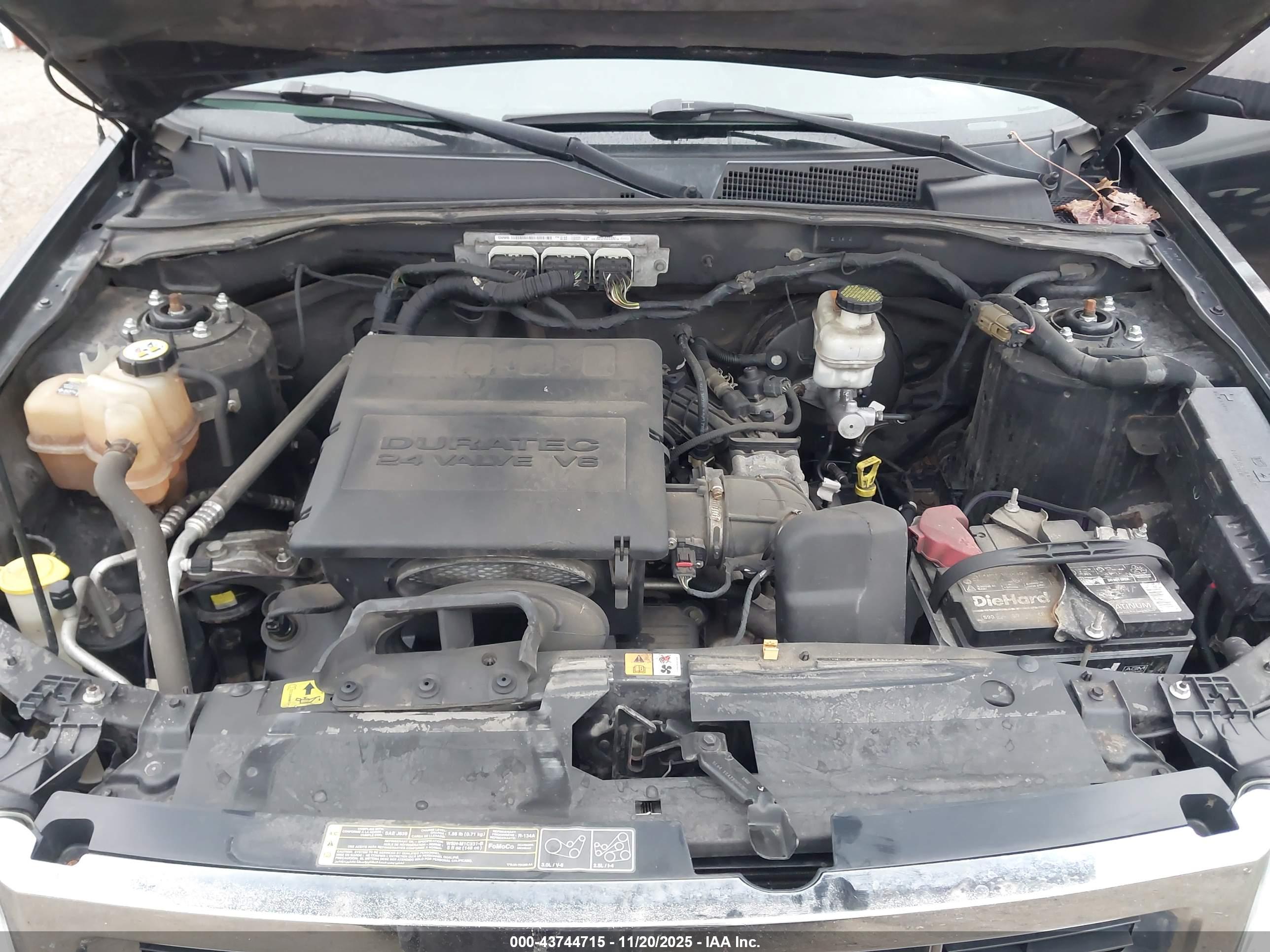 FORD ESCAPE image 10