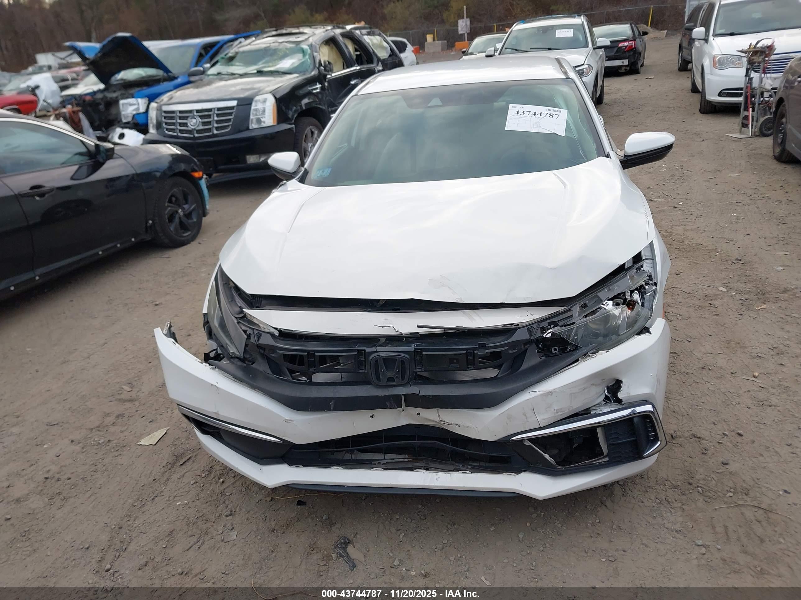 HONDA CIVIC image 6