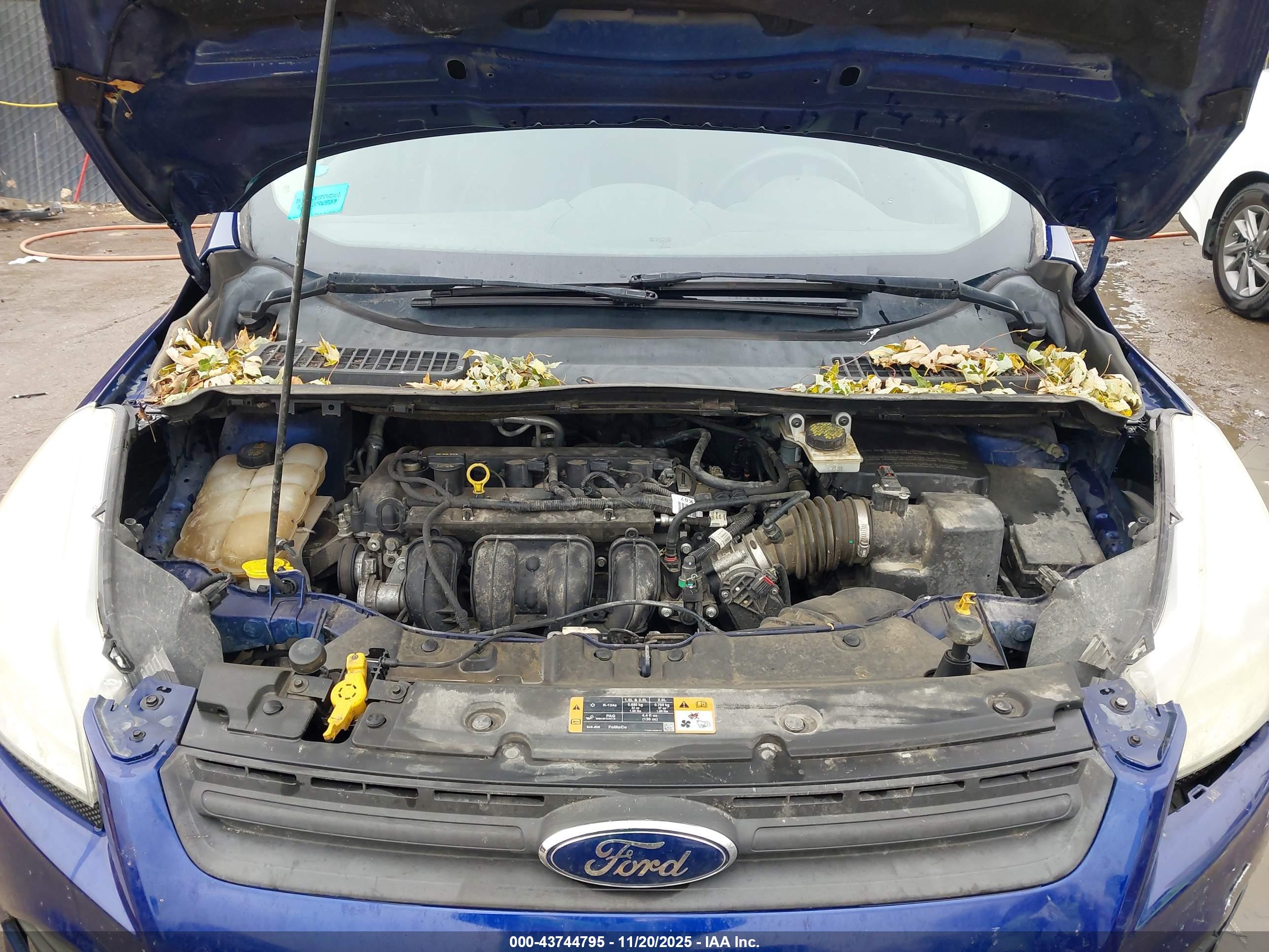 FORD ESCAPE image 10