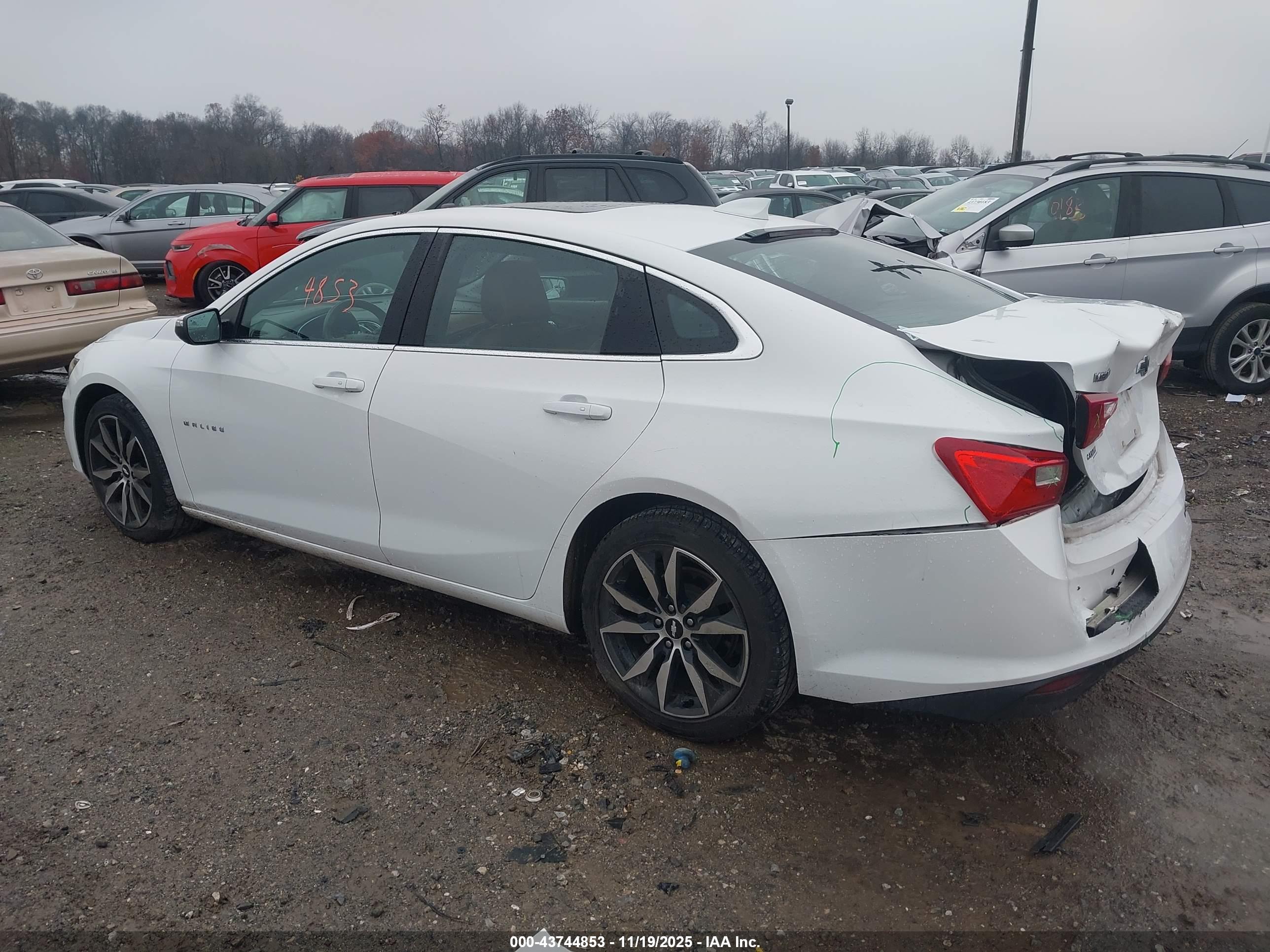 CHEVROLET MALIBU image 3