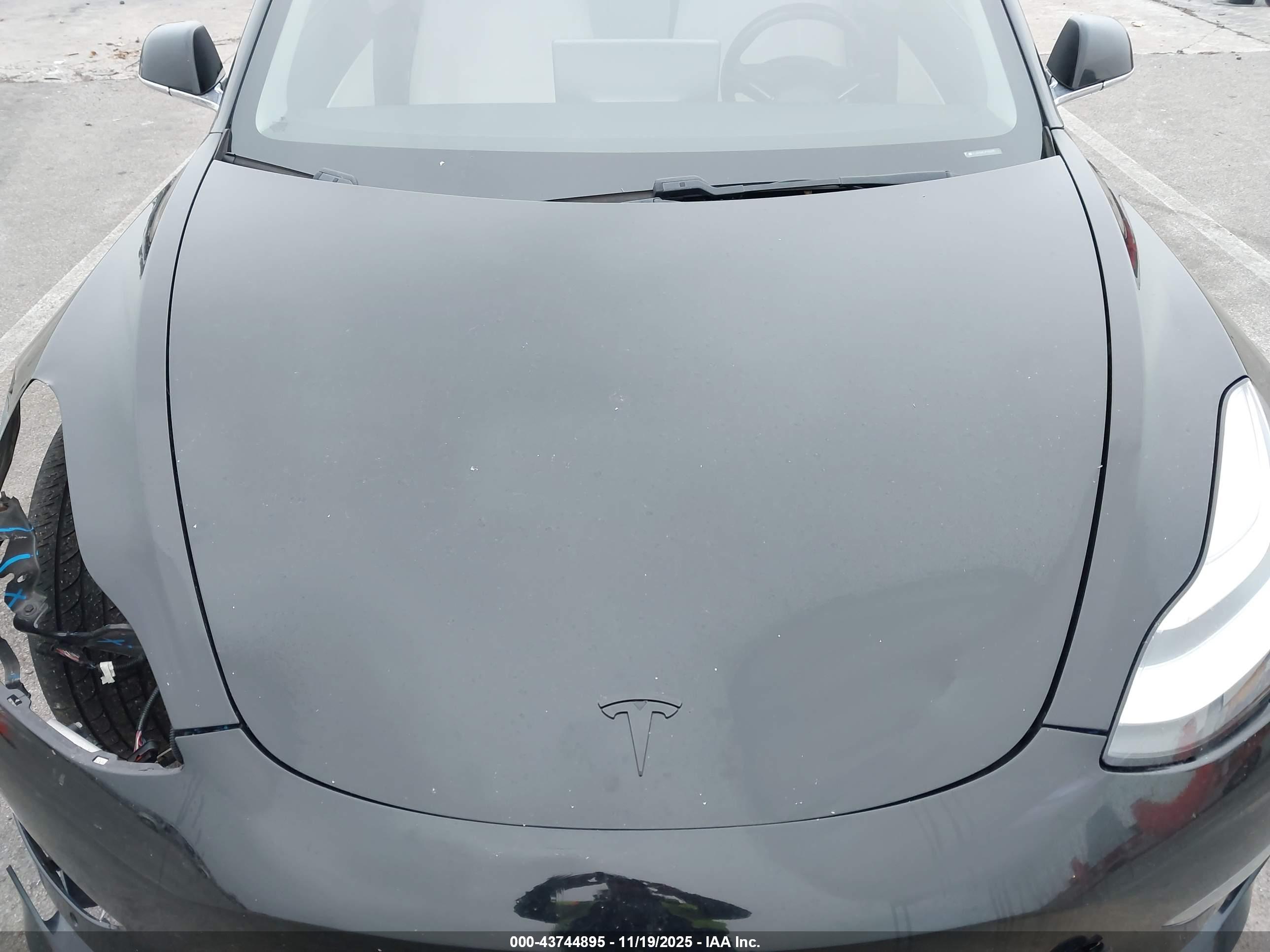 TESLA MODEL image 10