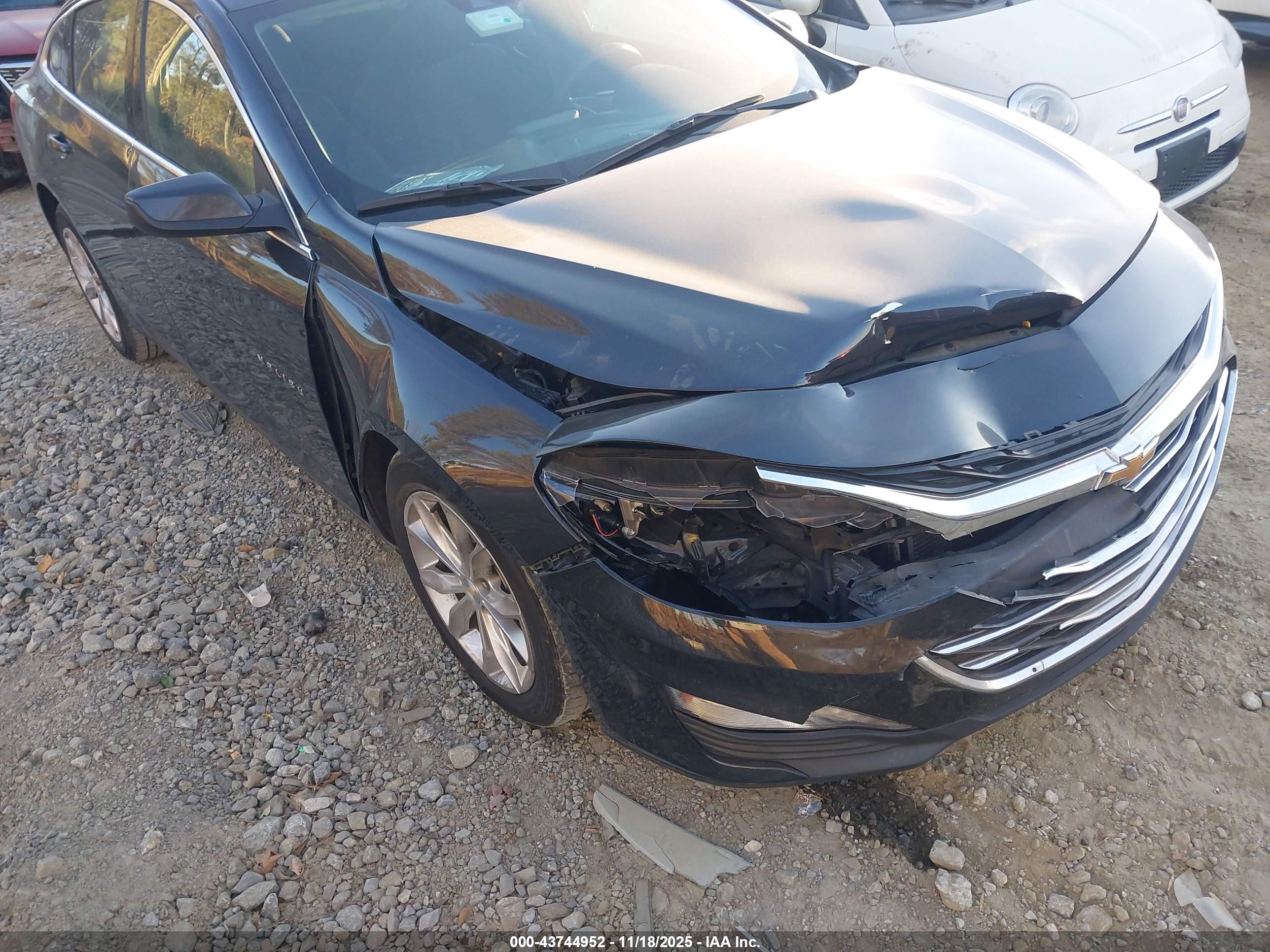 CHEVROLET MALIBU image 6