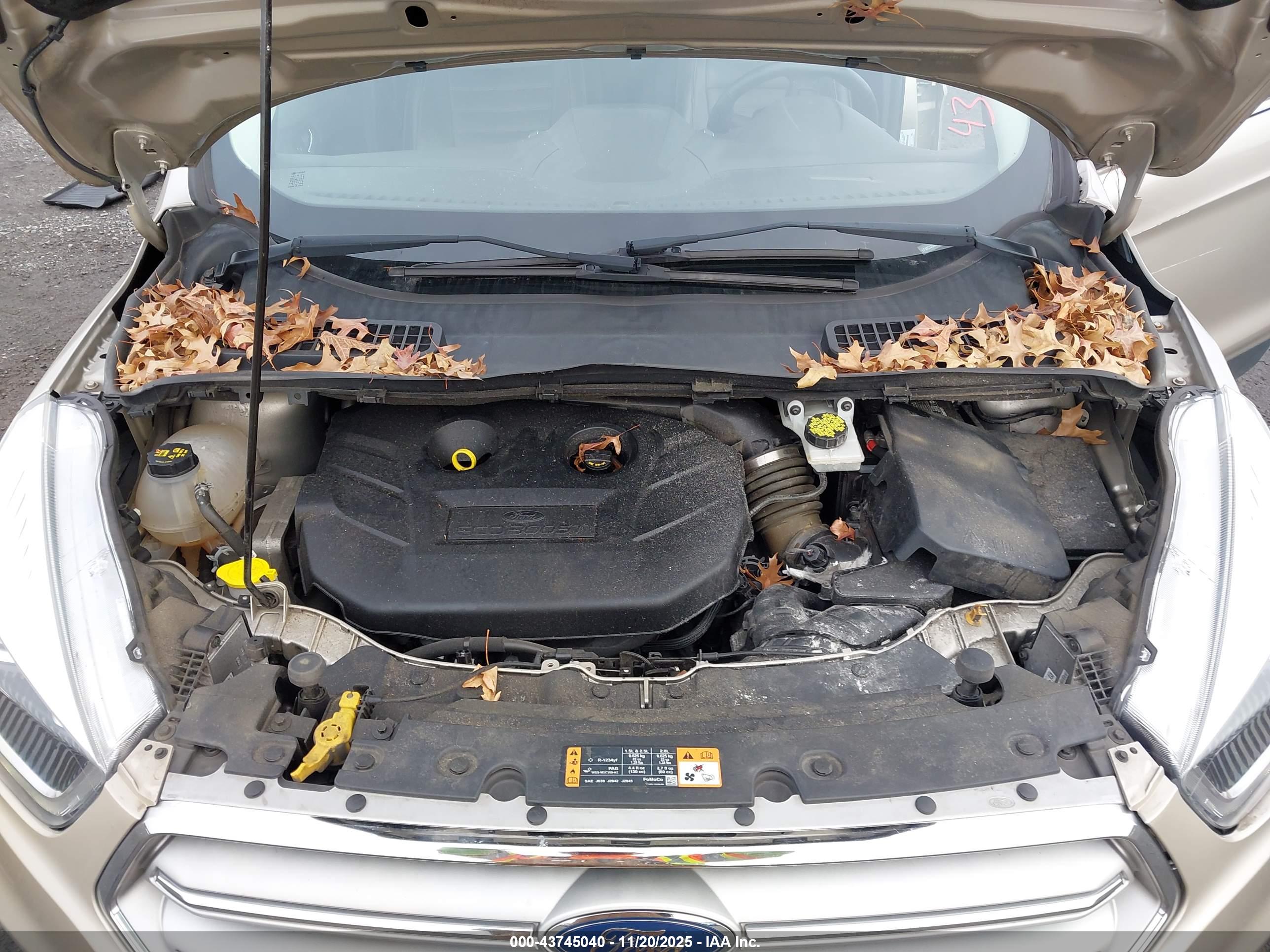 FORD ESCAPE image 10
