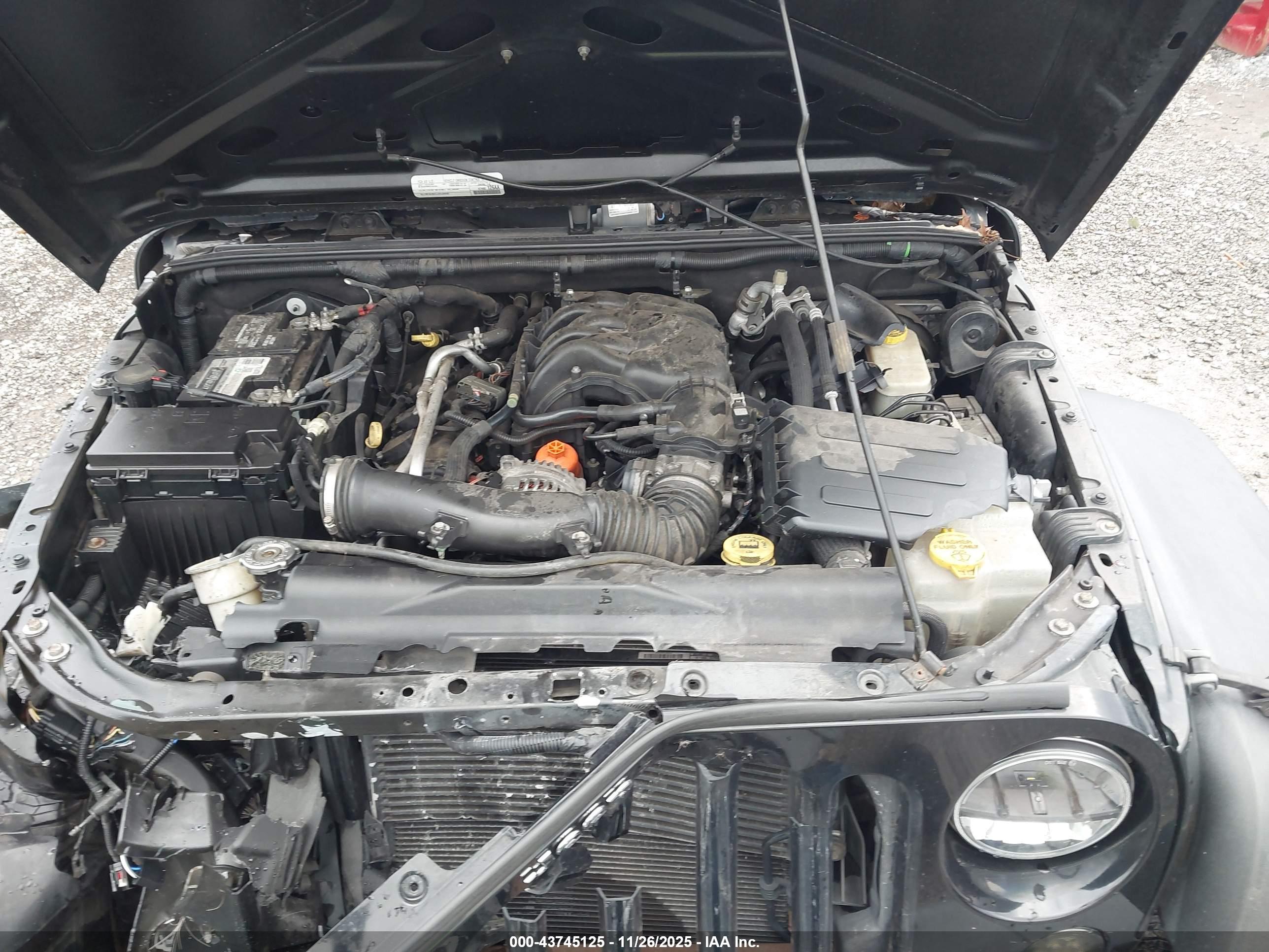 JEEP WRANGLER image 10