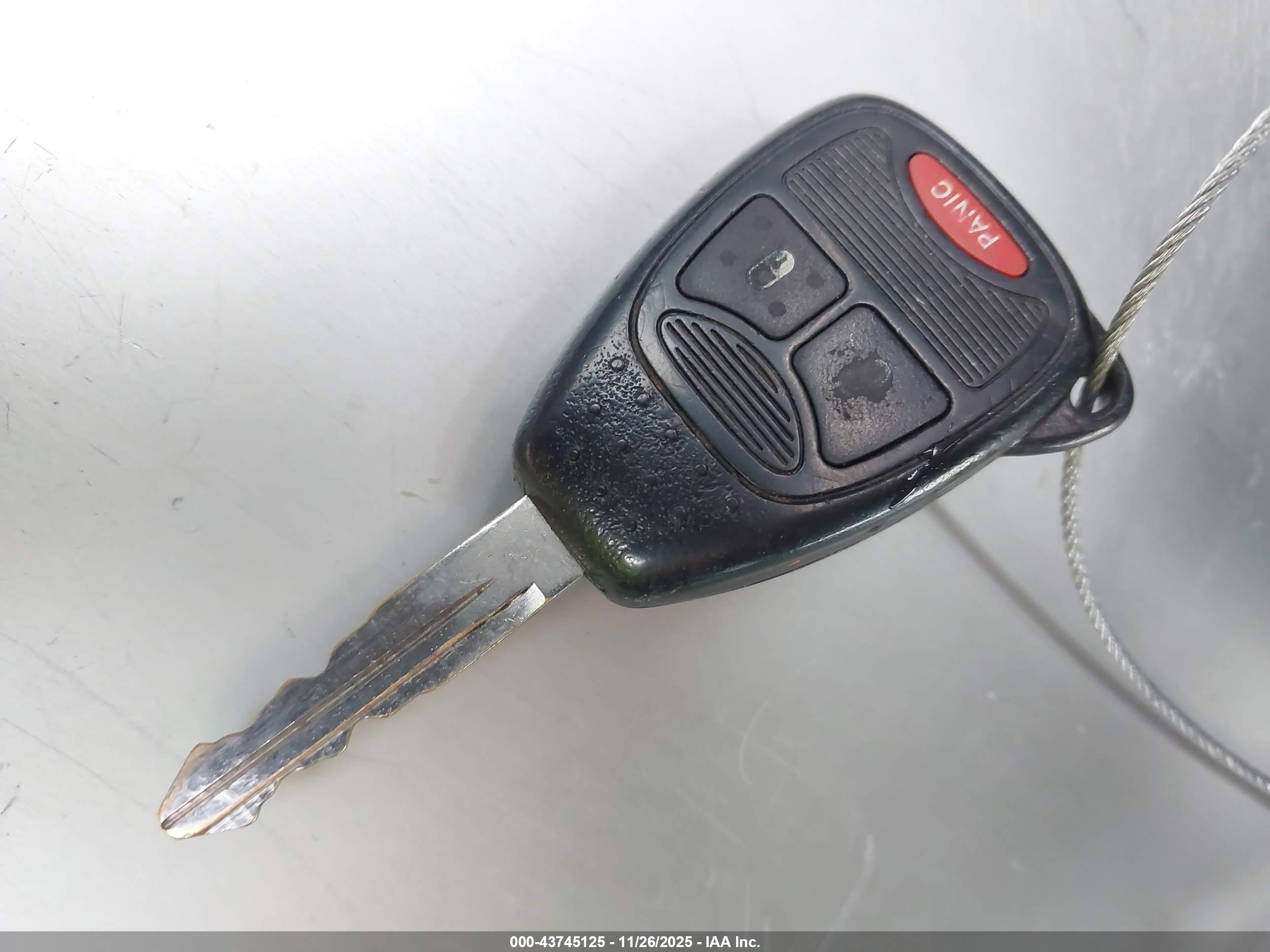 JEEP WRANGLER image 11