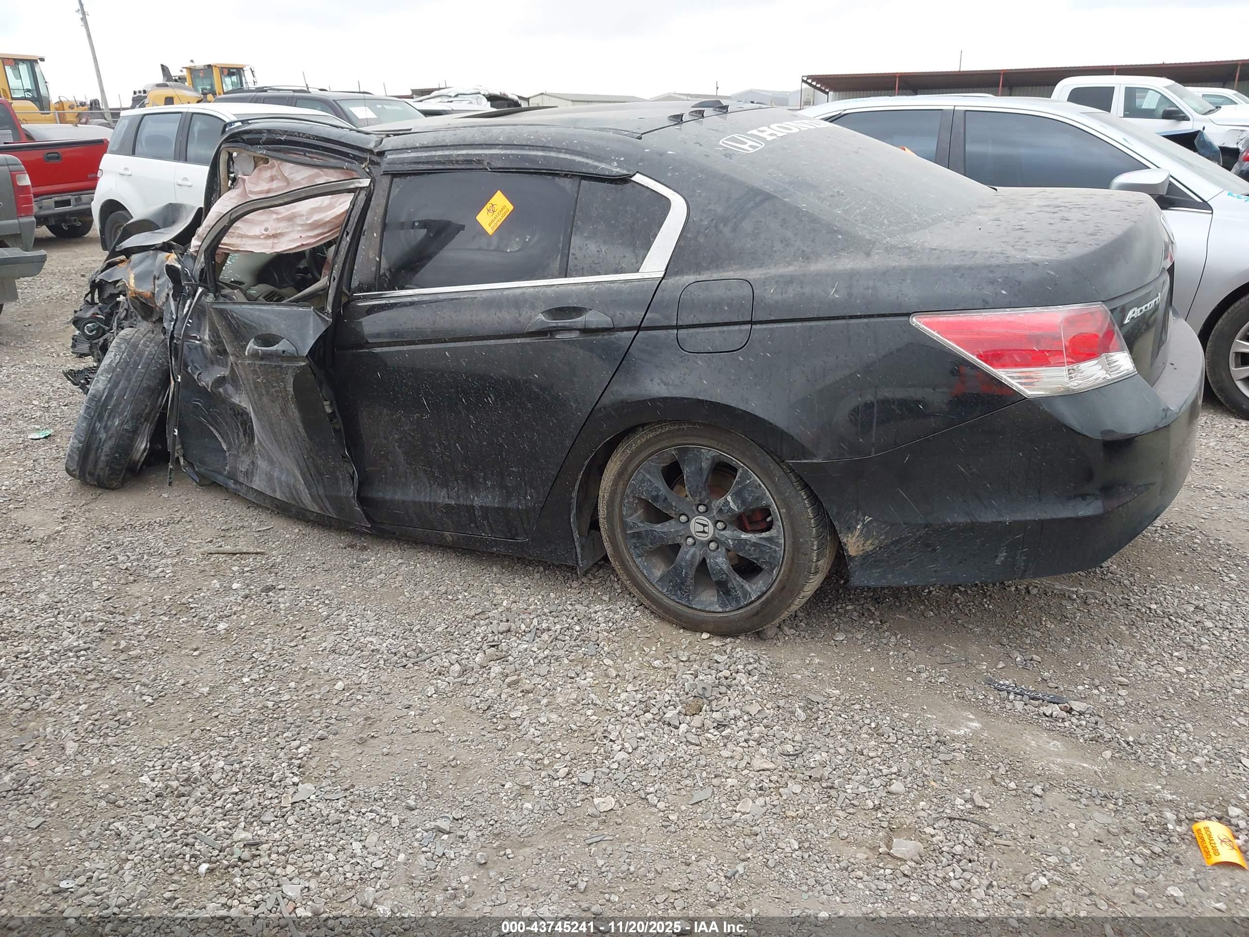 HONDA ACCORD image 3