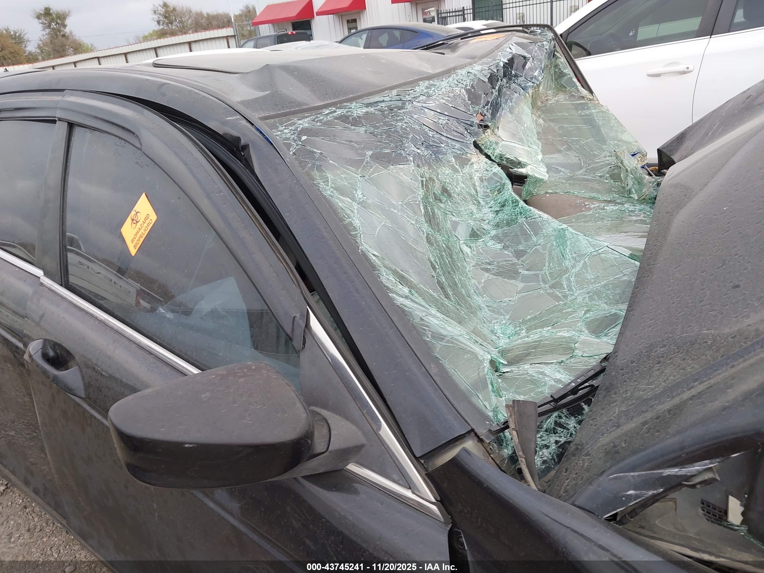 HONDA ACCORD image 6