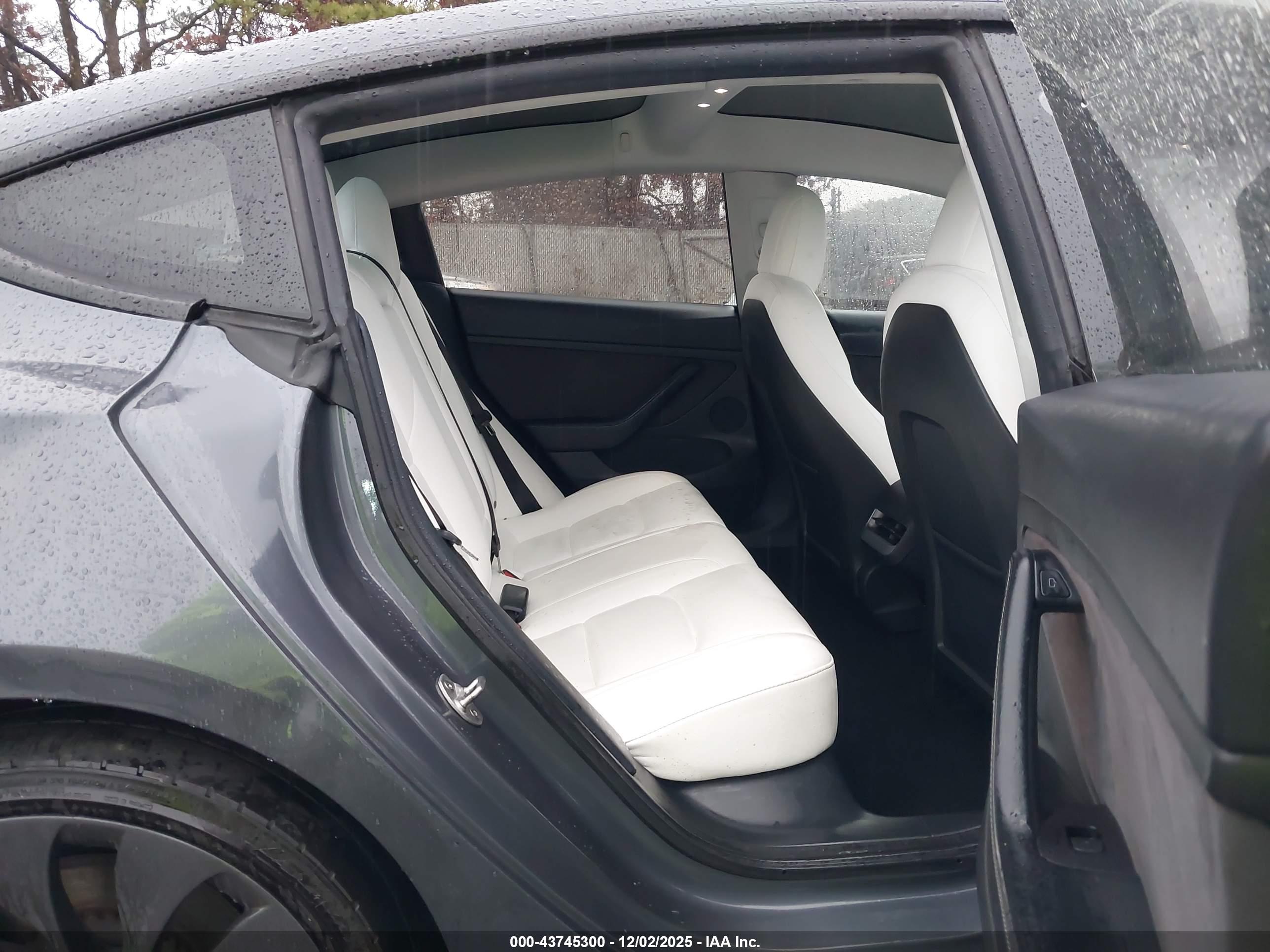 TESLA MODEL image 8