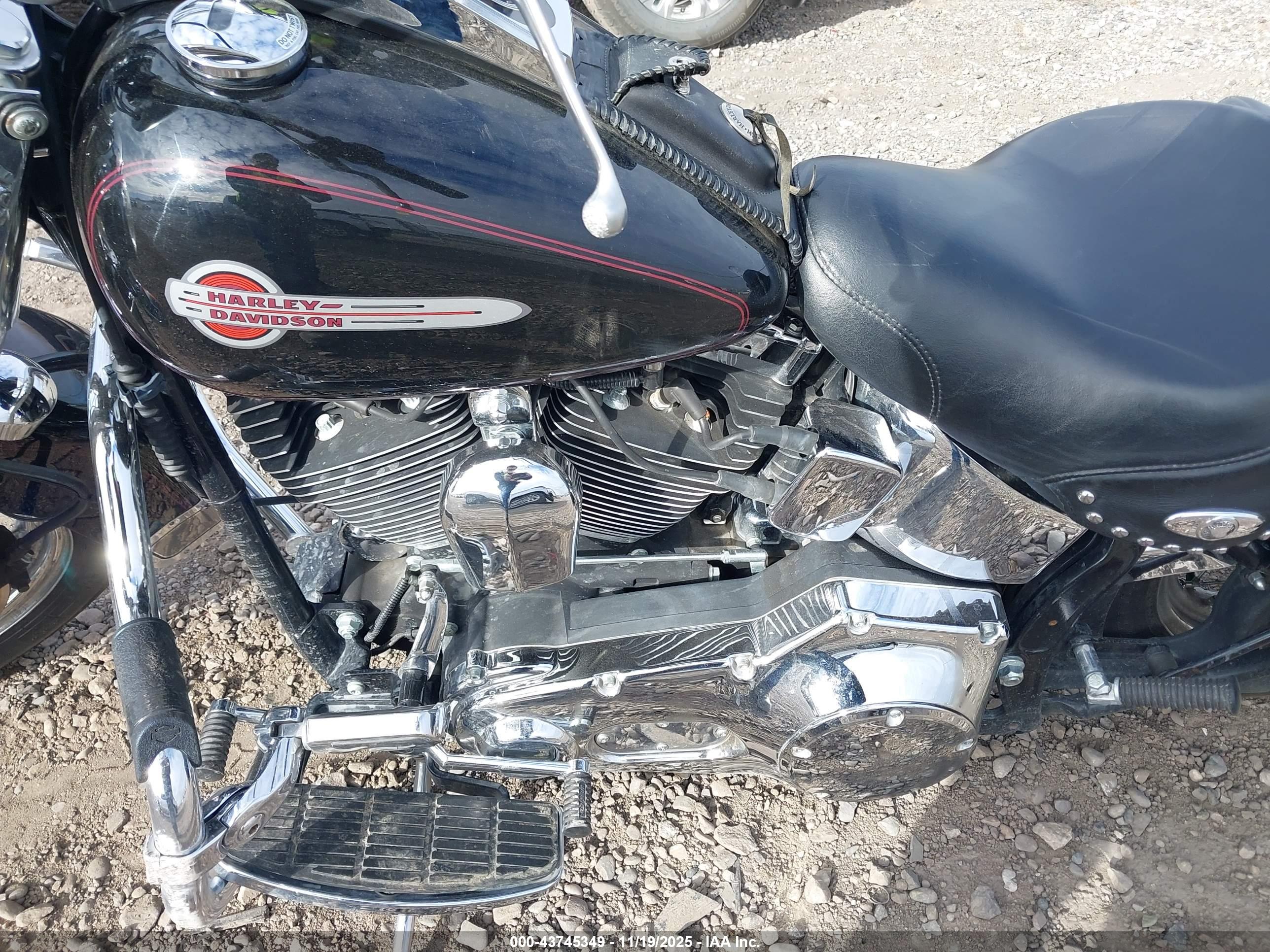 HARLEY-DAVIDSON FLSTCI image 9