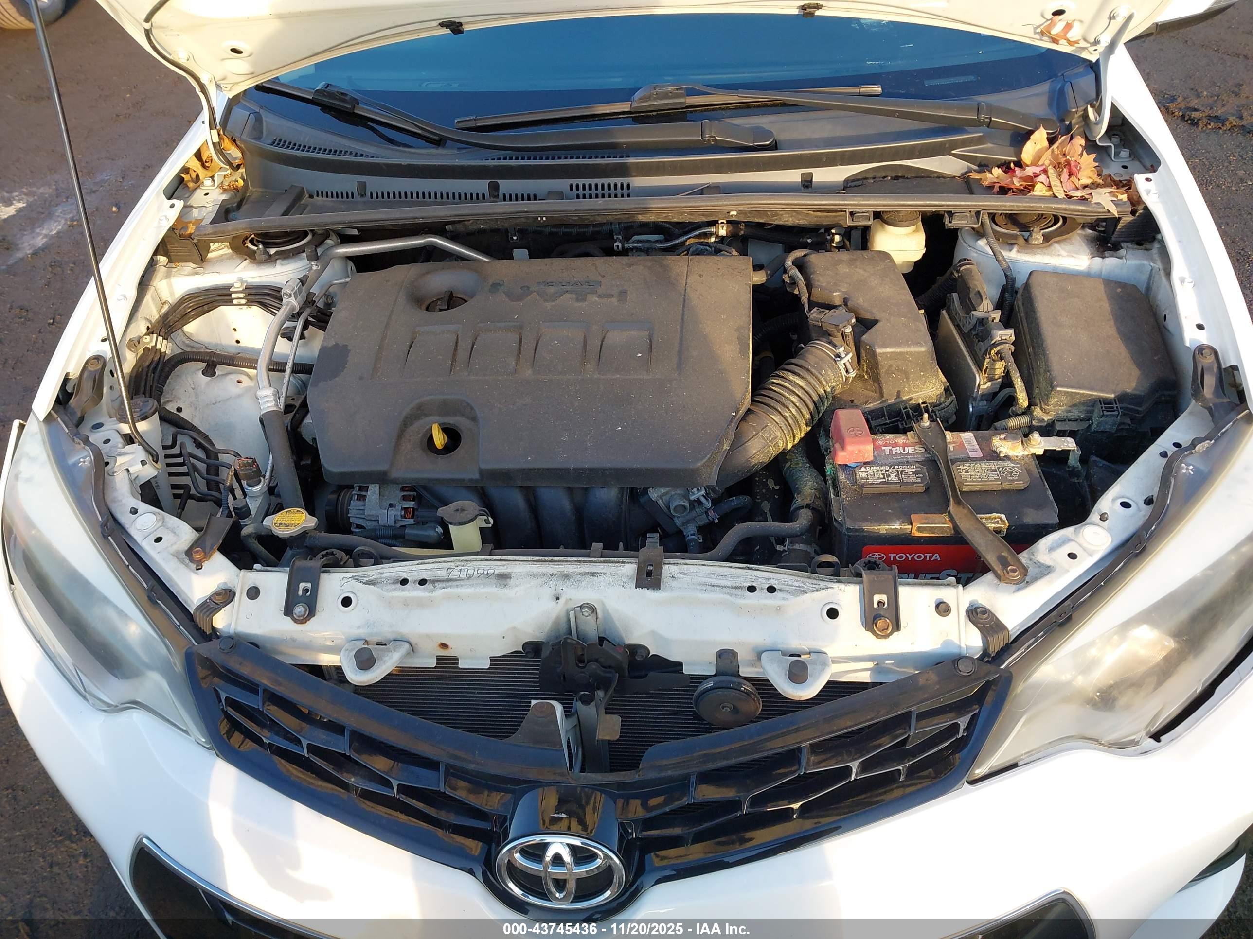 TOYOTA COROLLA image 10
