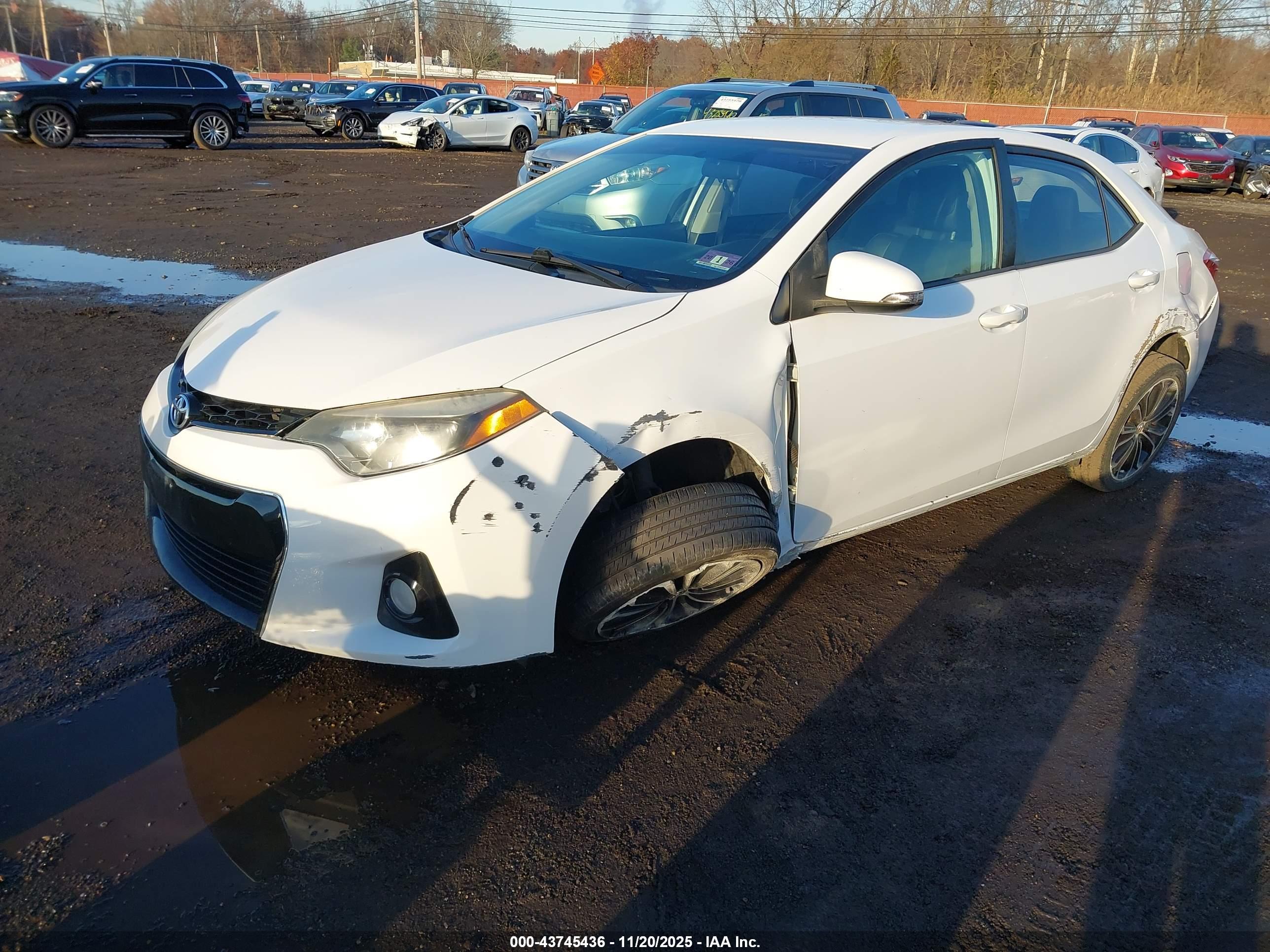 TOYOTA COROLLA image 2