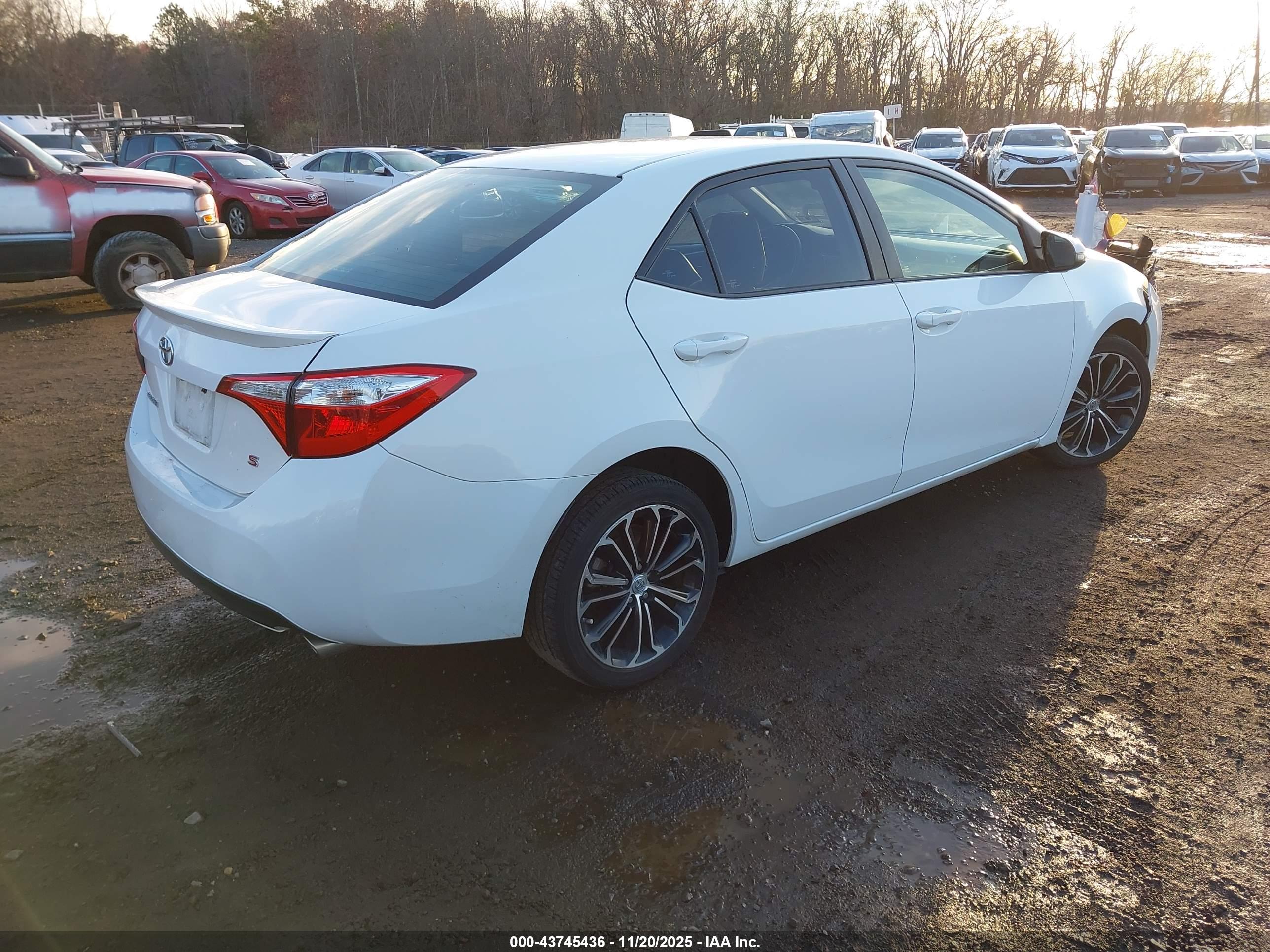 TOYOTA COROLLA image 4
