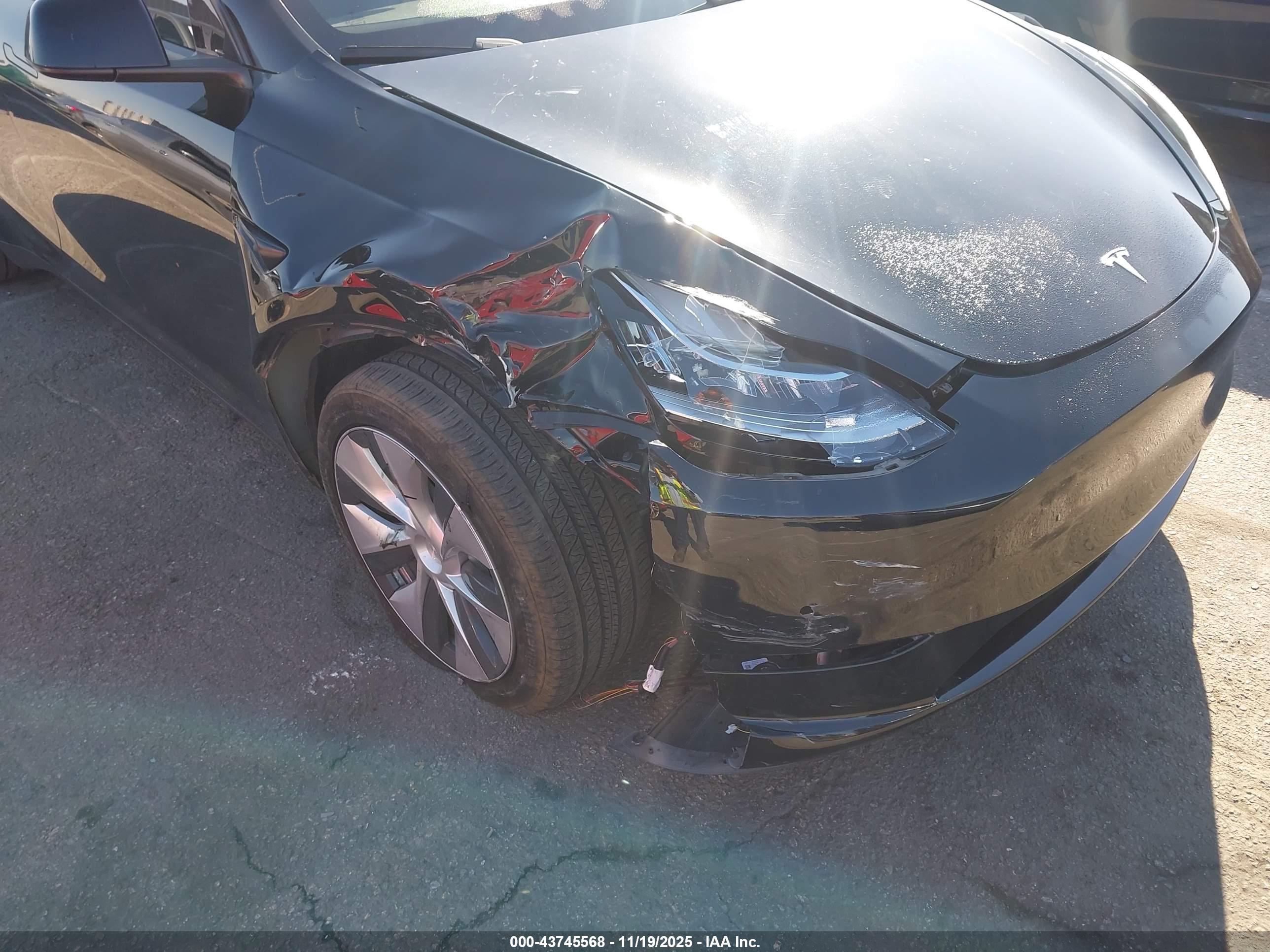 TESLA MODEL image 6