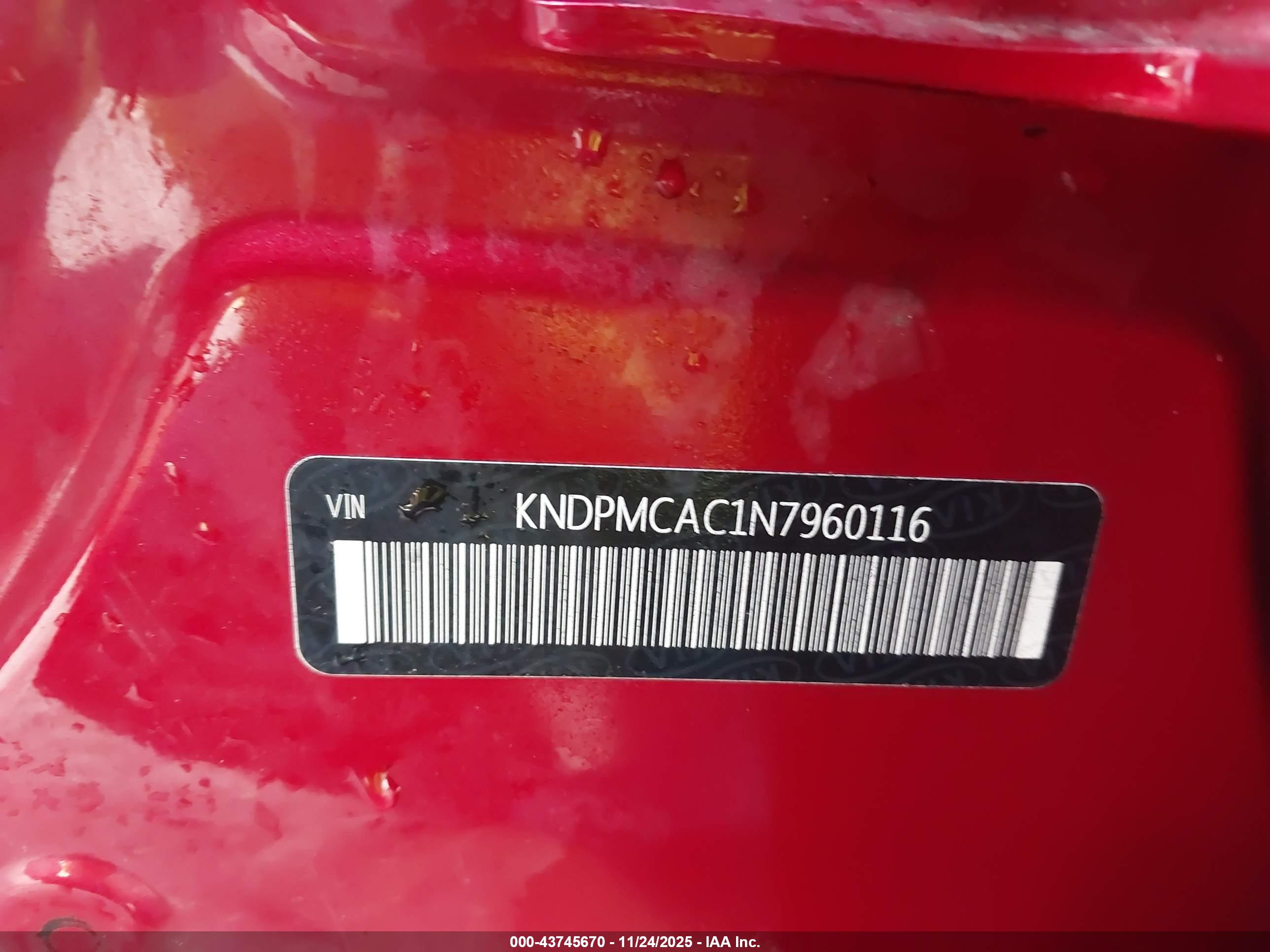 KIA SPORTAGE image 9