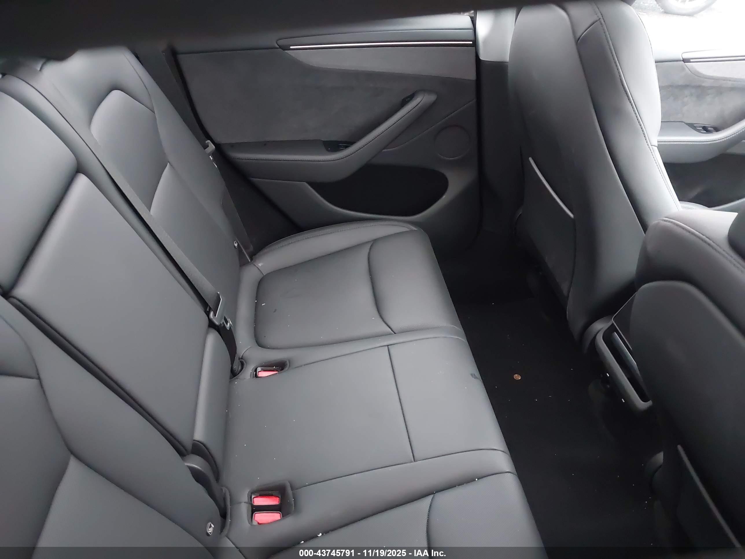 TESLA MODEL image 8