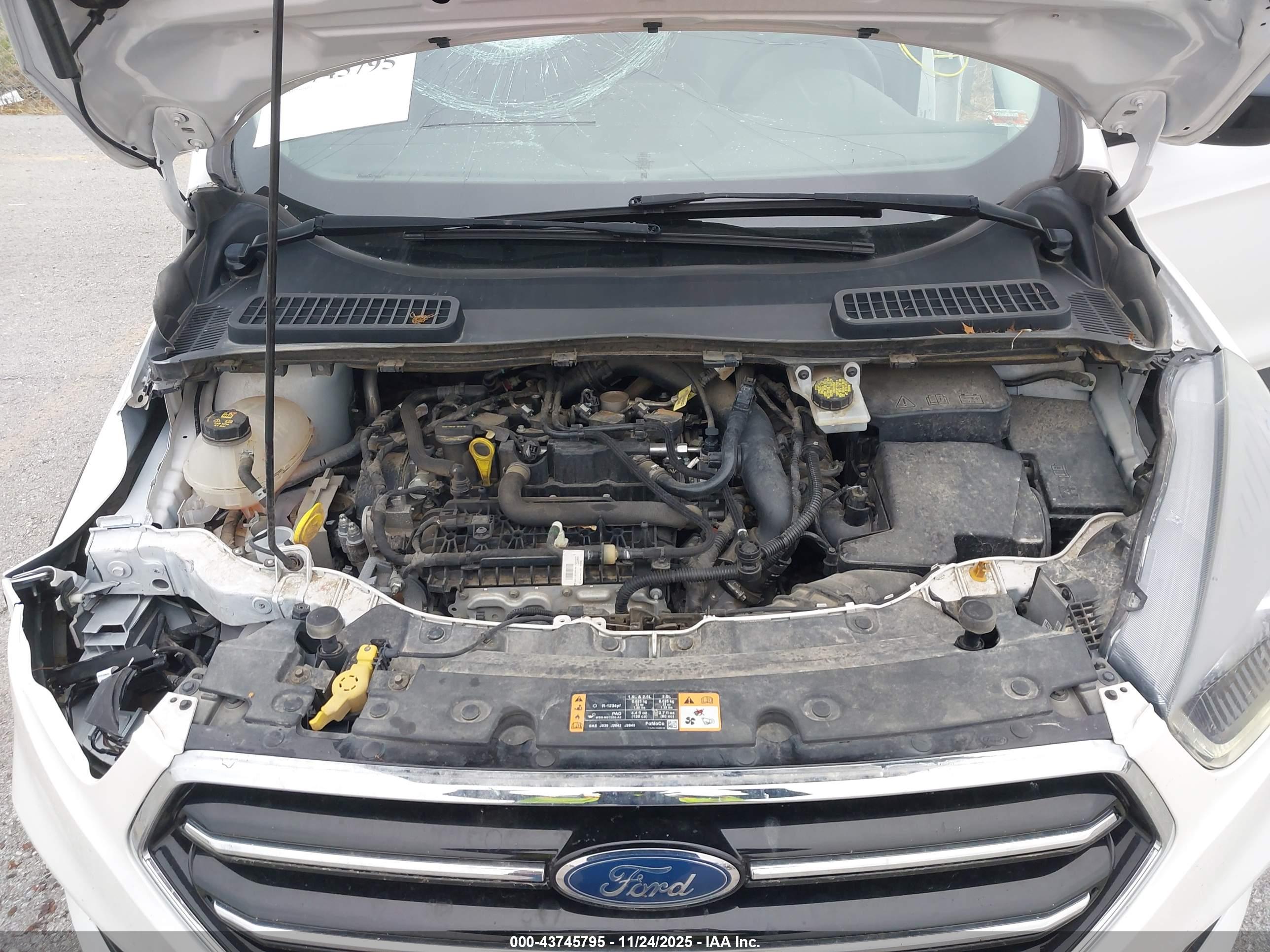FORD ESCAPE image 10