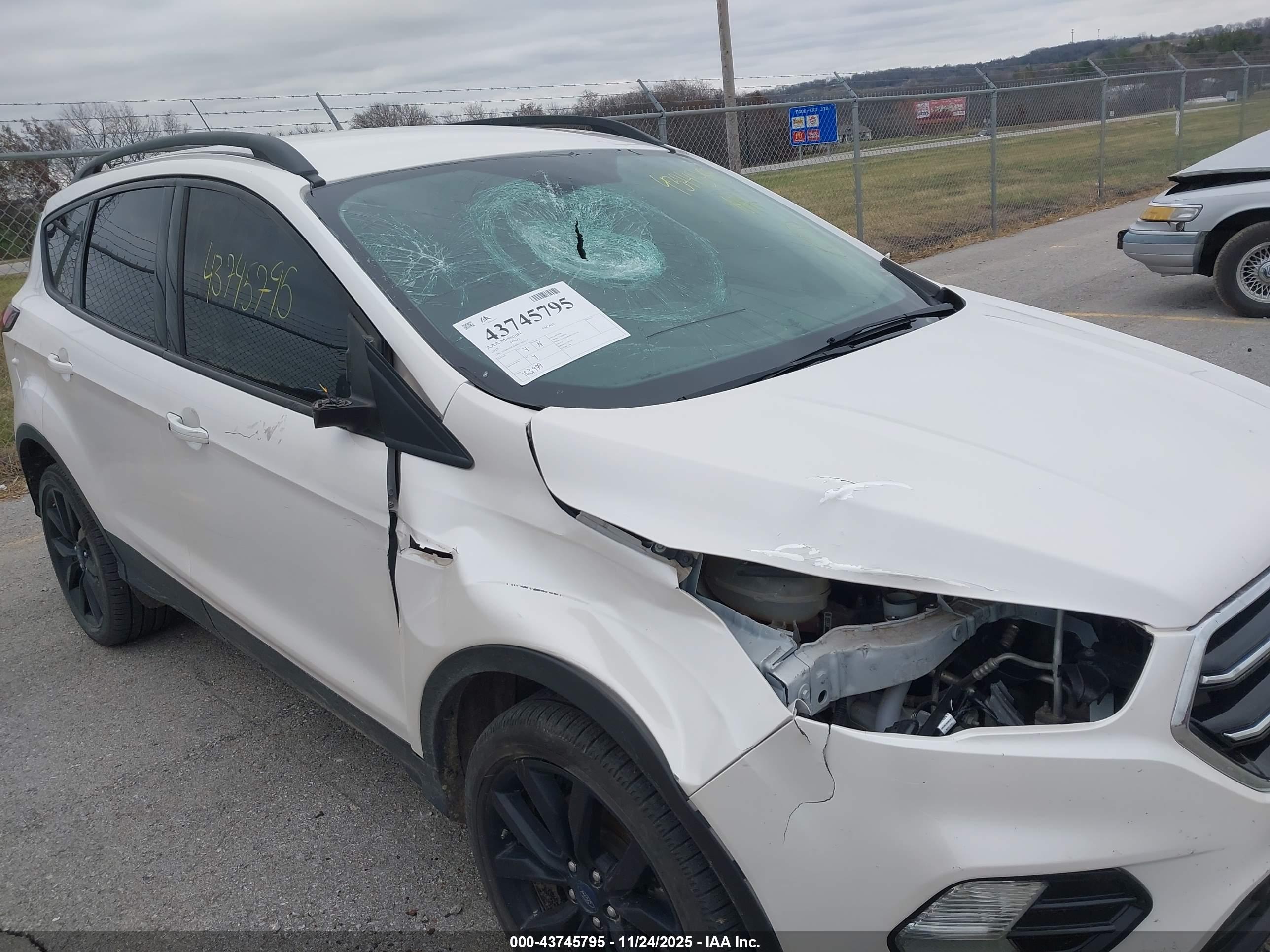 FORD ESCAPE image 6