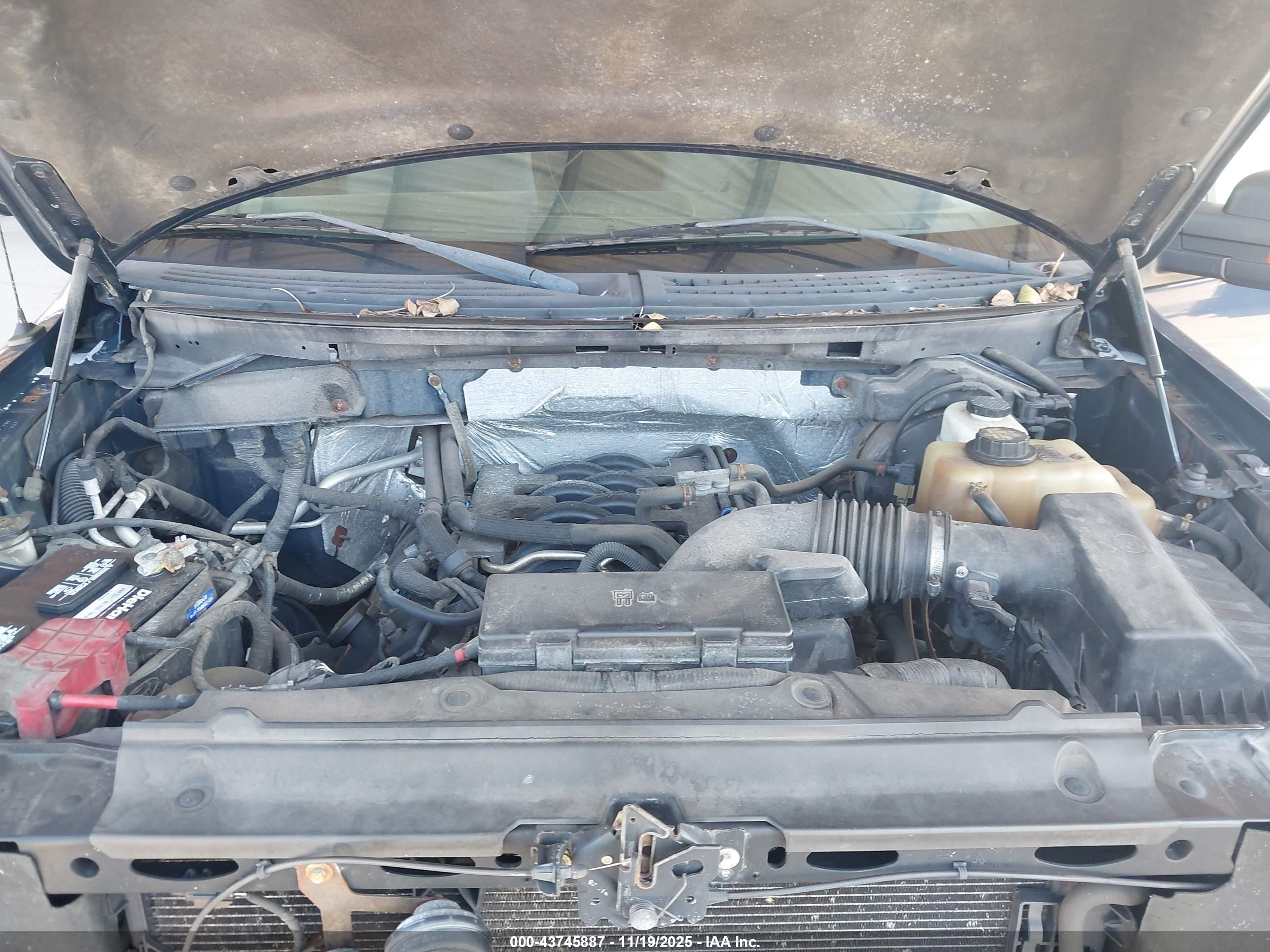 FORD F-150 image 10