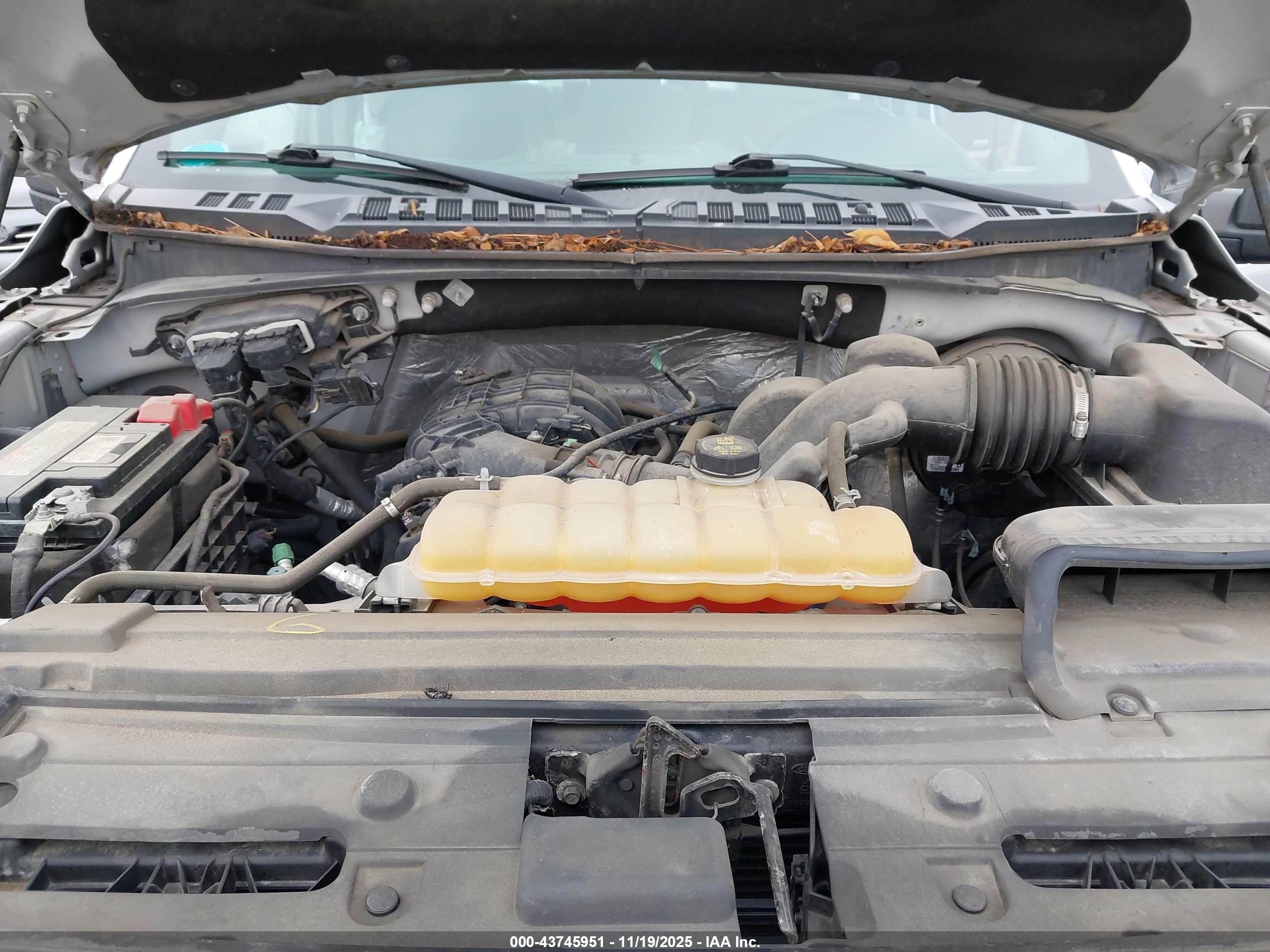 FORD F-150 image 10