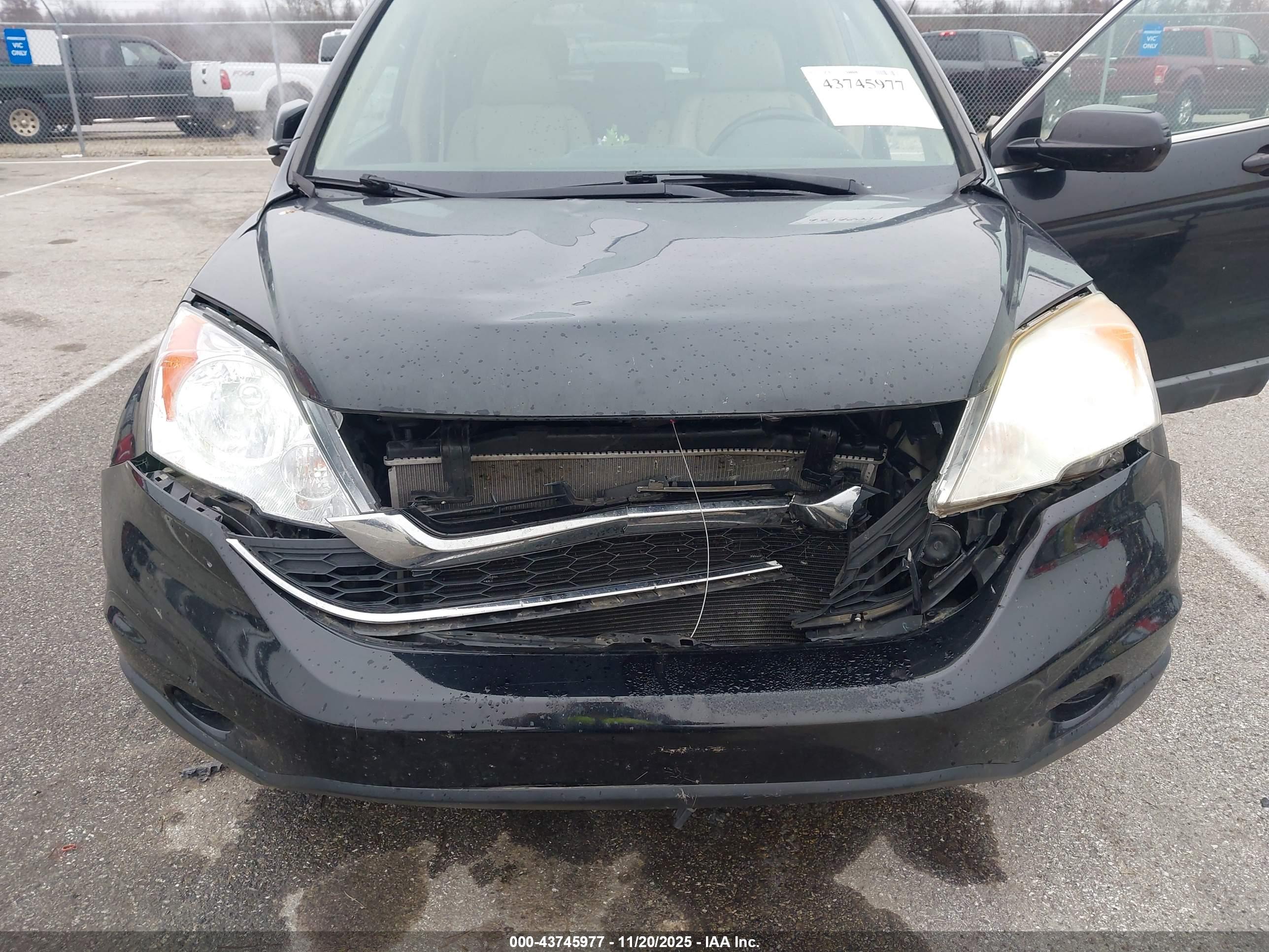 HONDA CR-V image 6