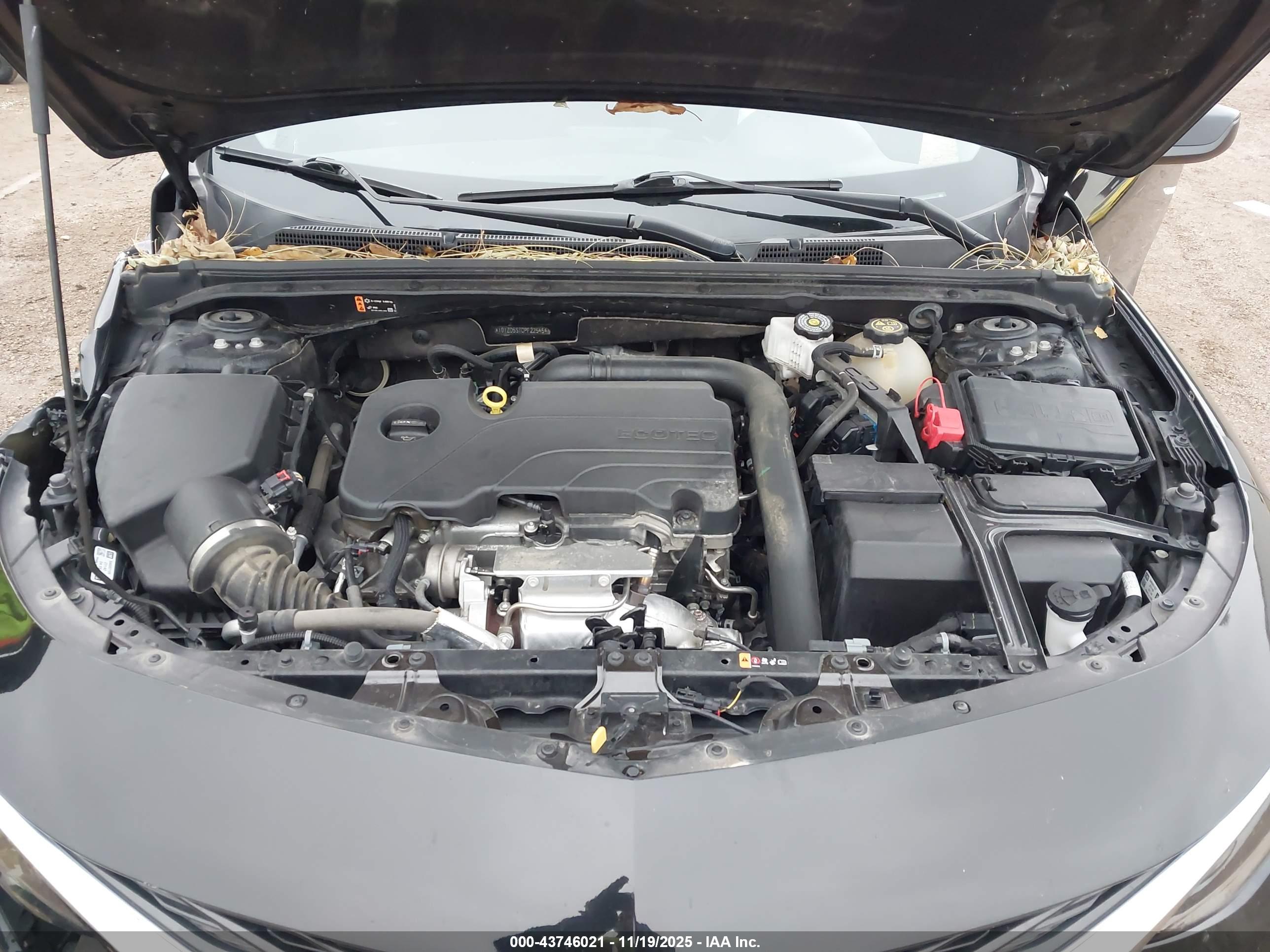 CHEVROLET MALIBU image 10