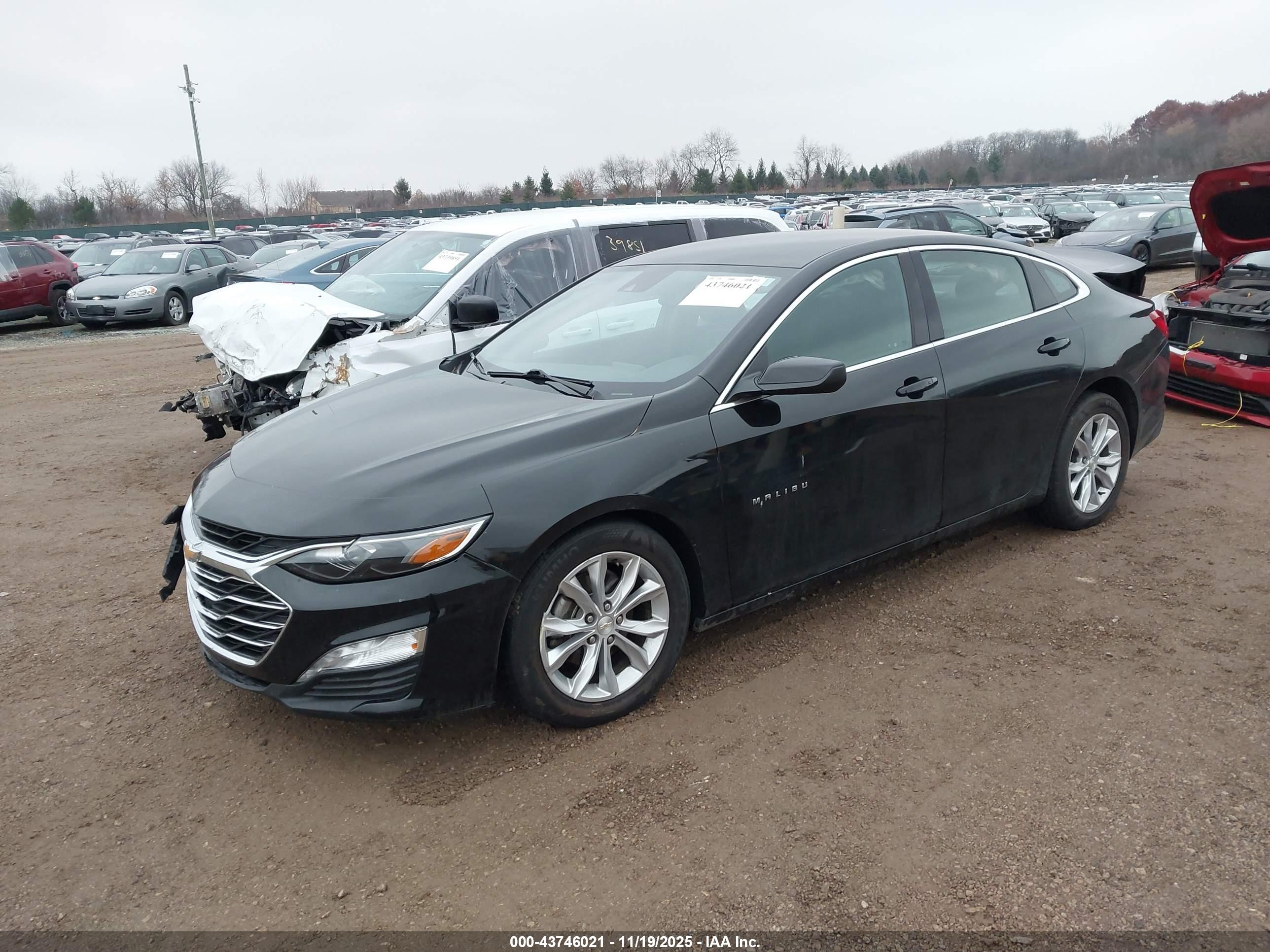 CHEVROLET MALIBU image 2