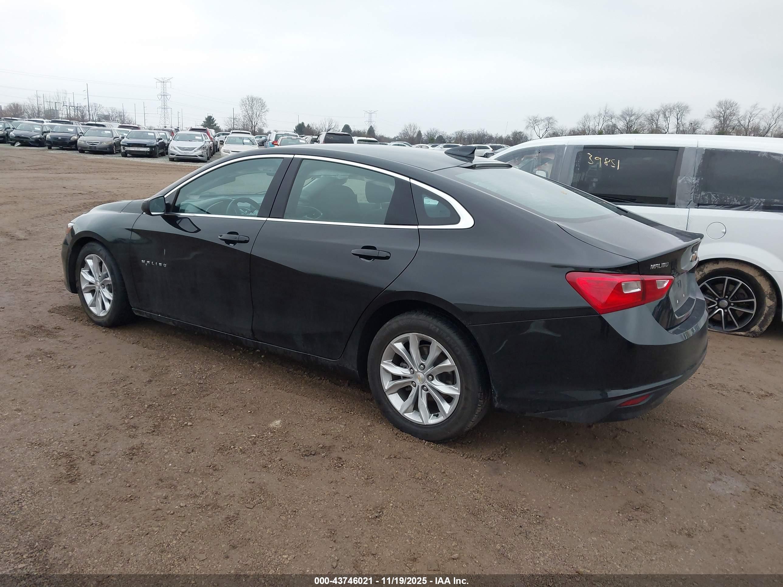 CHEVROLET MALIBU image 3