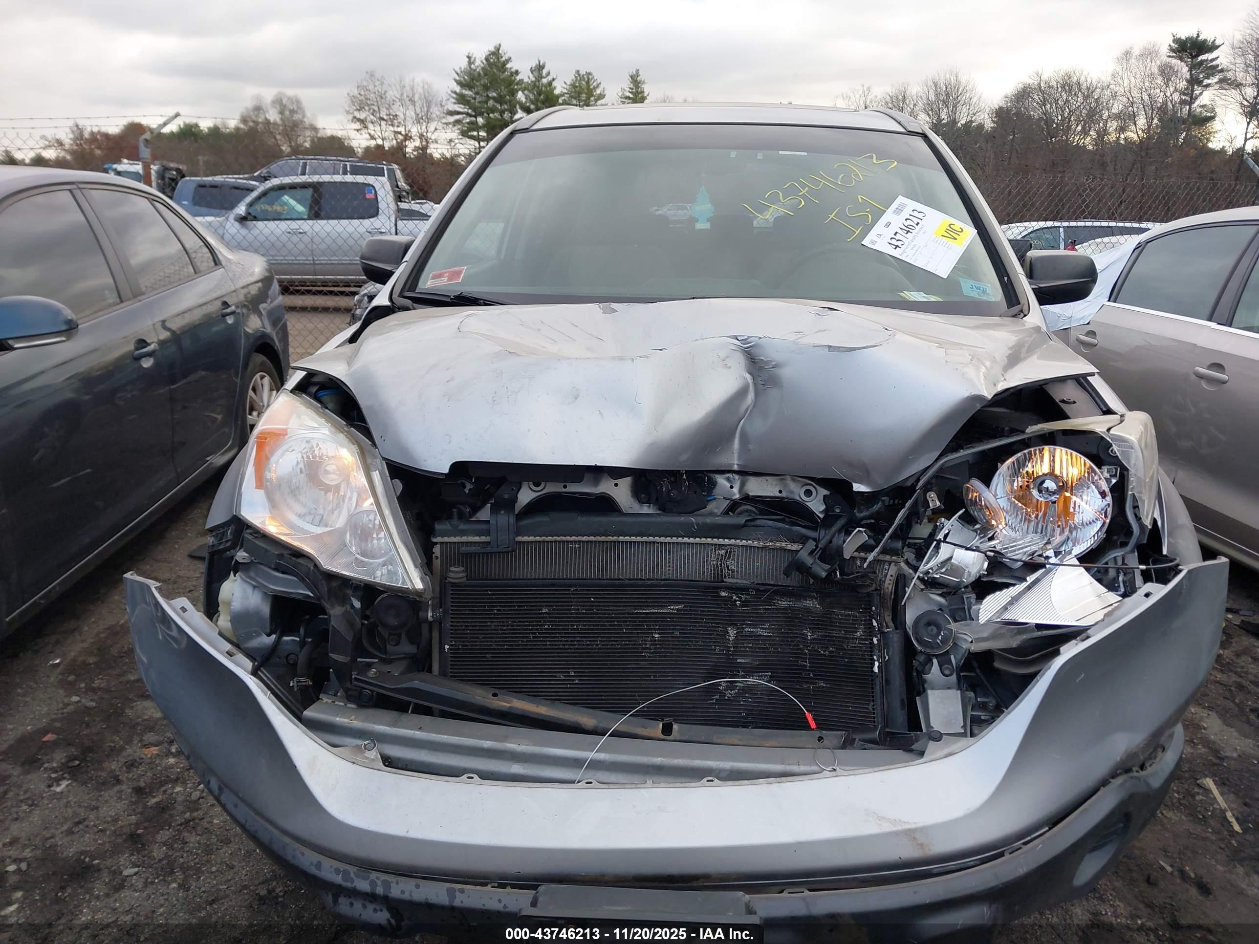 HONDA CR-V image 6