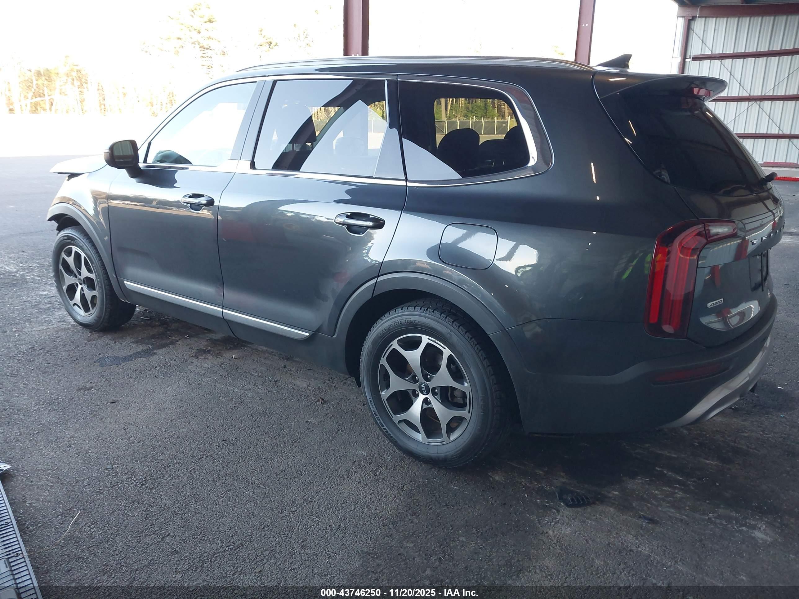 KIA TELLURIDE image 3