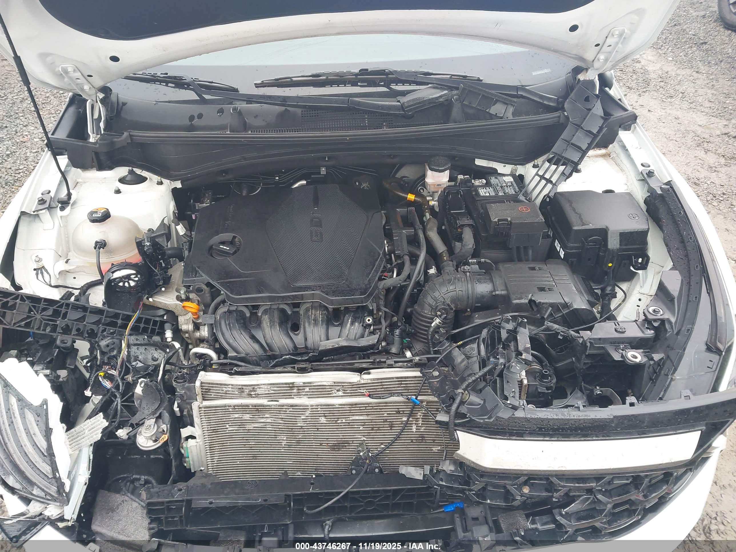 KIA SPORTAGE image 10
