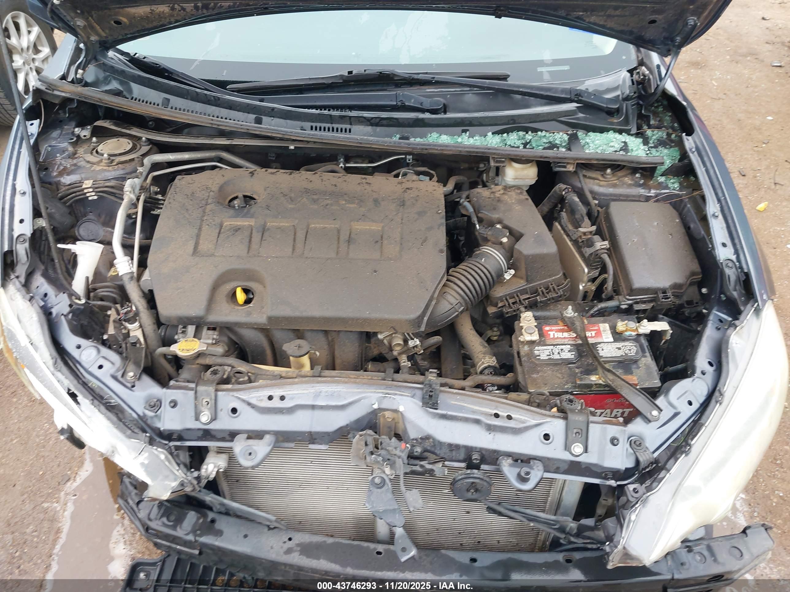 TOYOTA COROLLA image 10