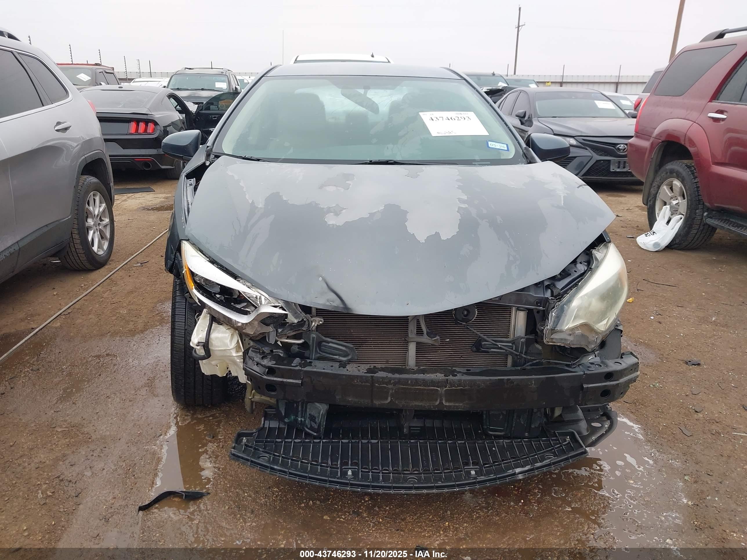 TOYOTA COROLLA image 6